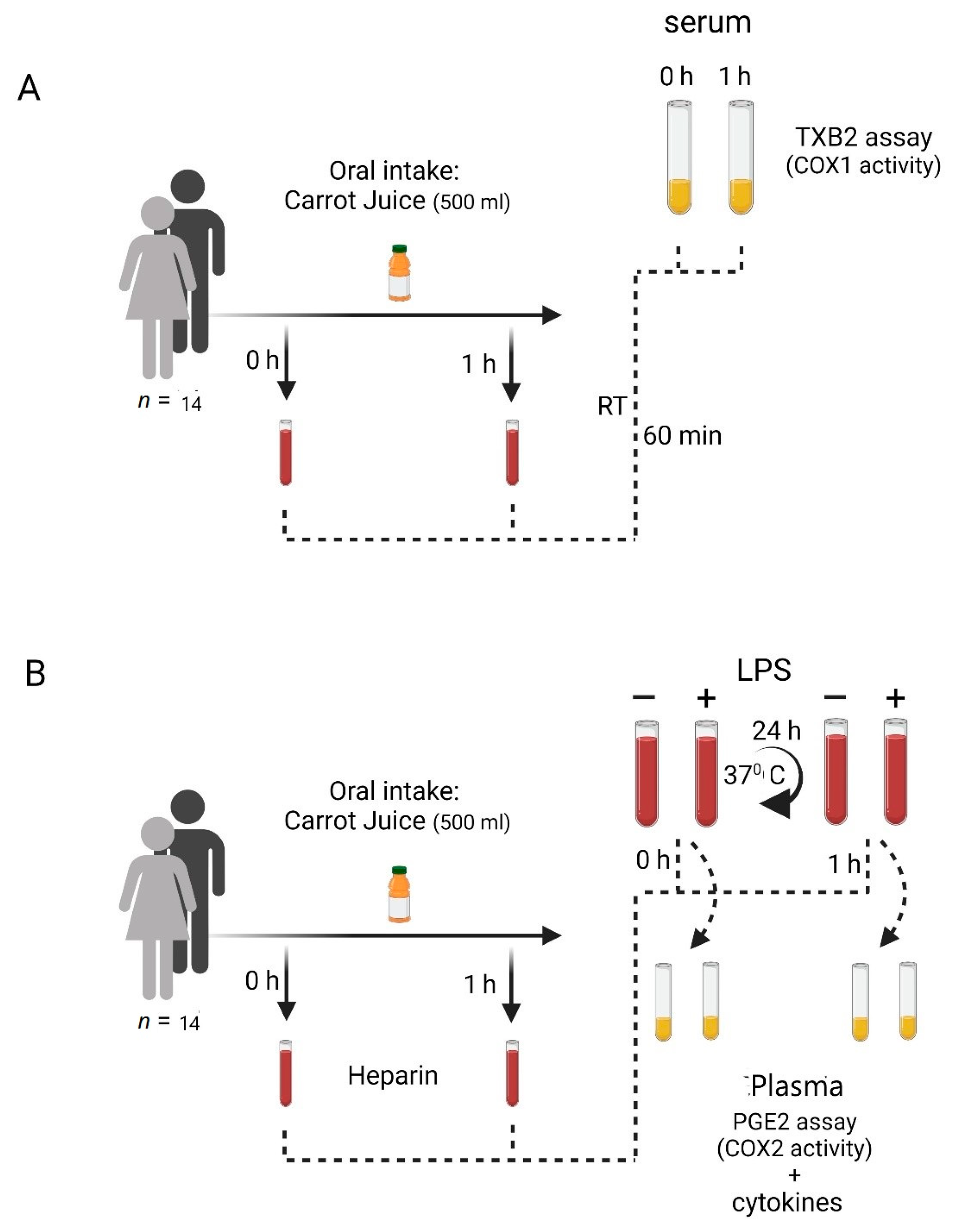 Nutrients 15 00632 g001