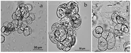 Nutrients 15 00656 g0a2