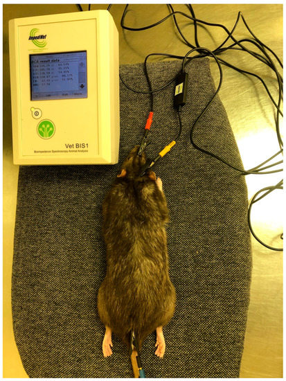 Nutrients 15 00656 g0a4