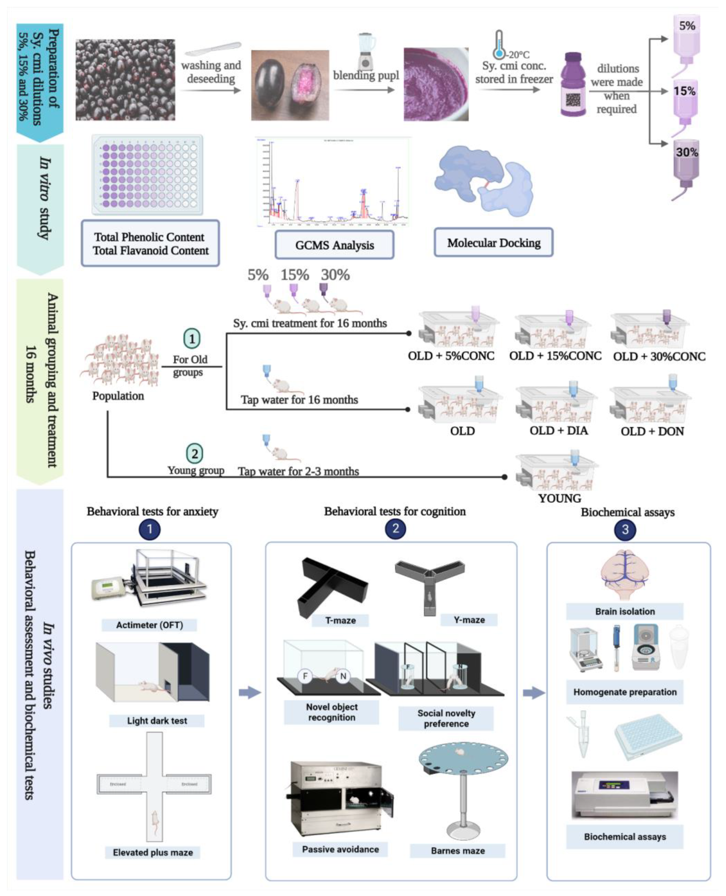 Nutrients 15 00666 g001 Nutrients 15 00666 g001