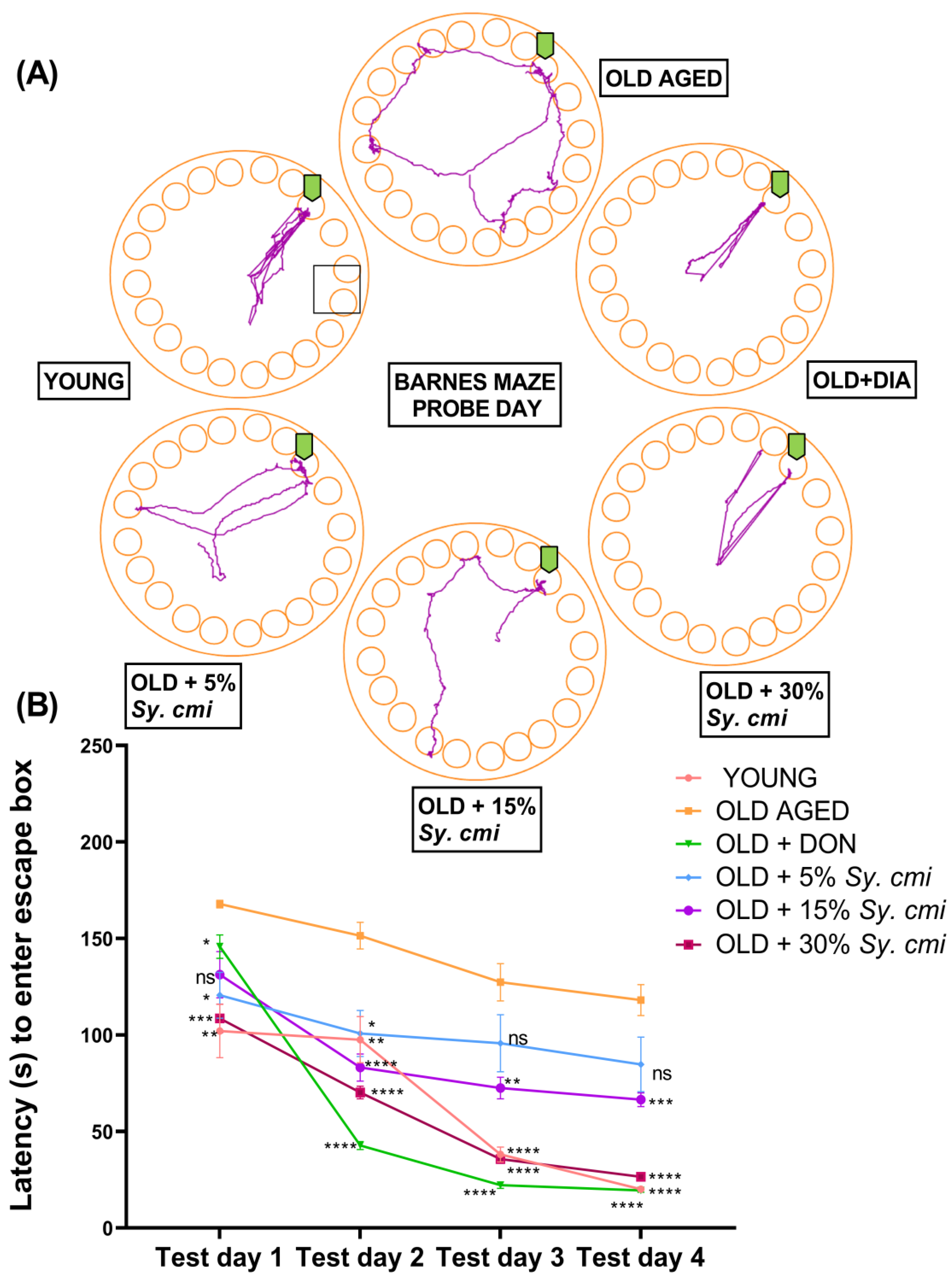 Nutrients 15 00666 g008 Nutrients 15 00666 g008