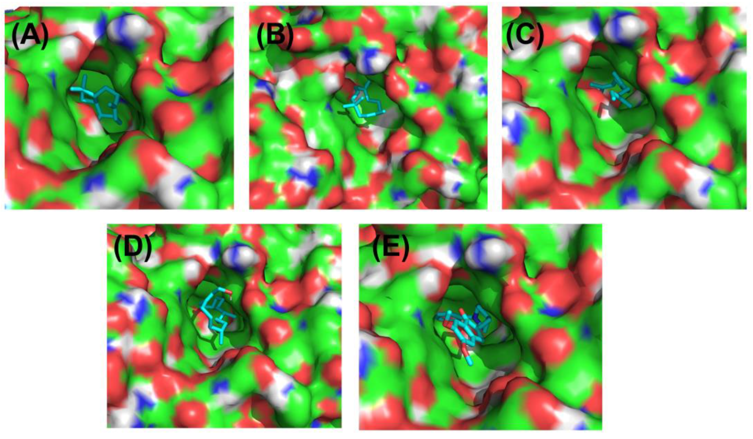 Nutrients 15 00666 g011 Nutrients 15 00666 g011