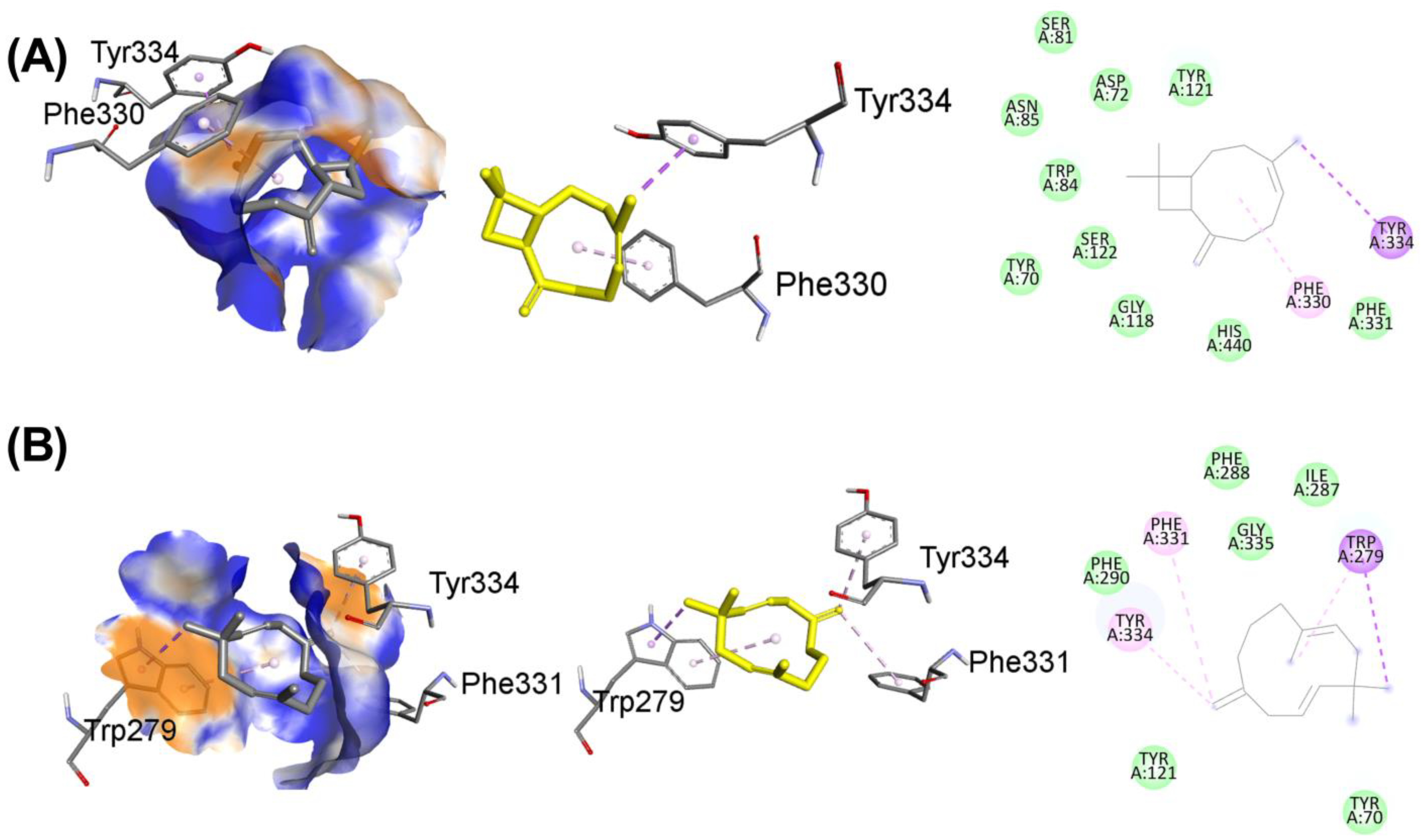 Nutrients 15 00666 g012 Nutrients 15 00666 g012