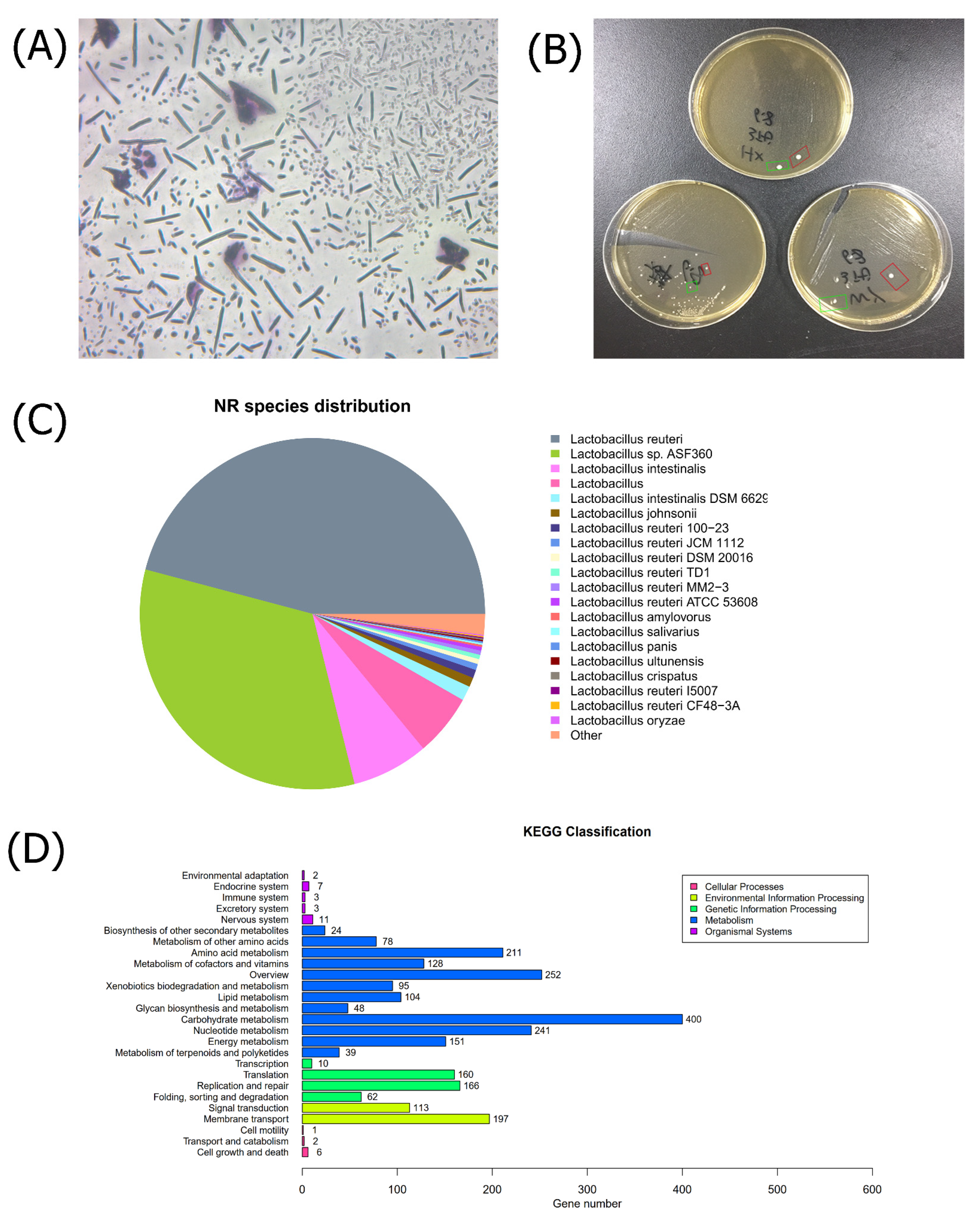 Nutrients 15 00670 g001