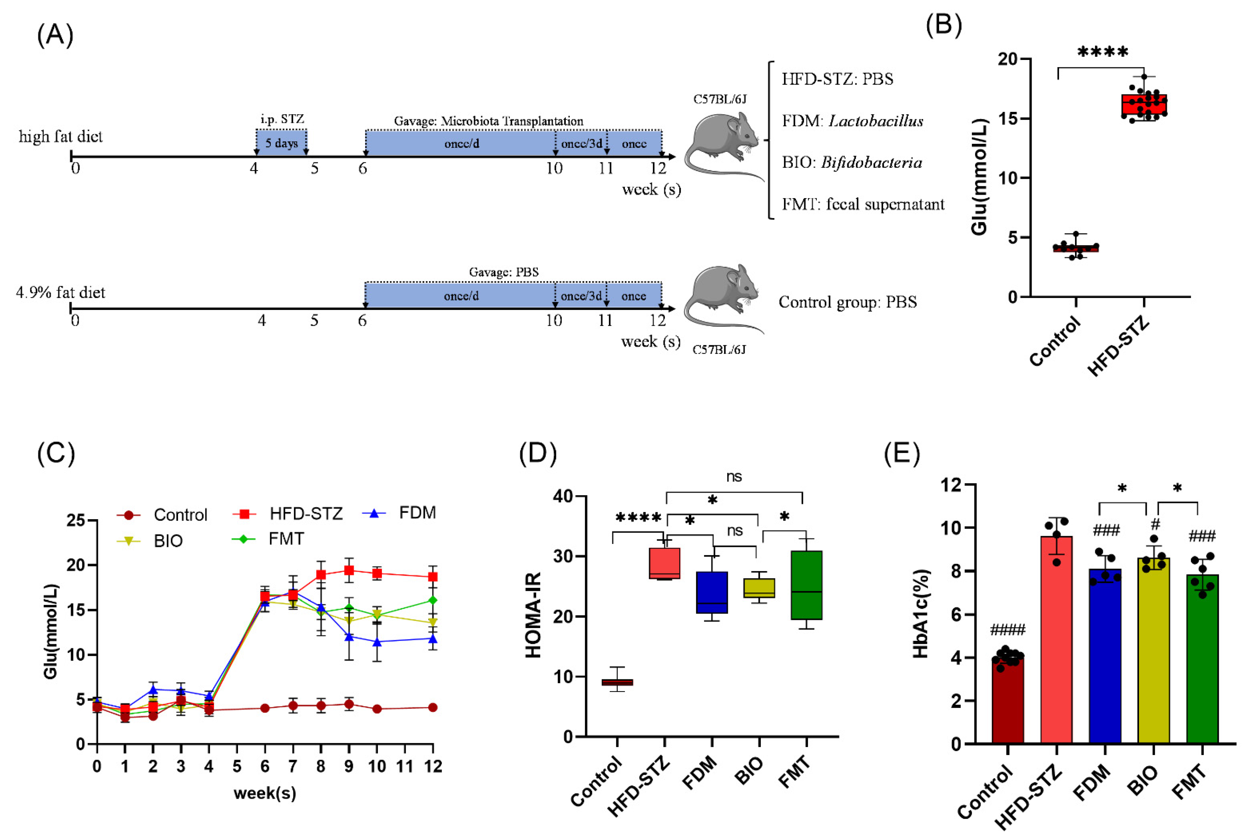 Nutrients 15 00670 g002