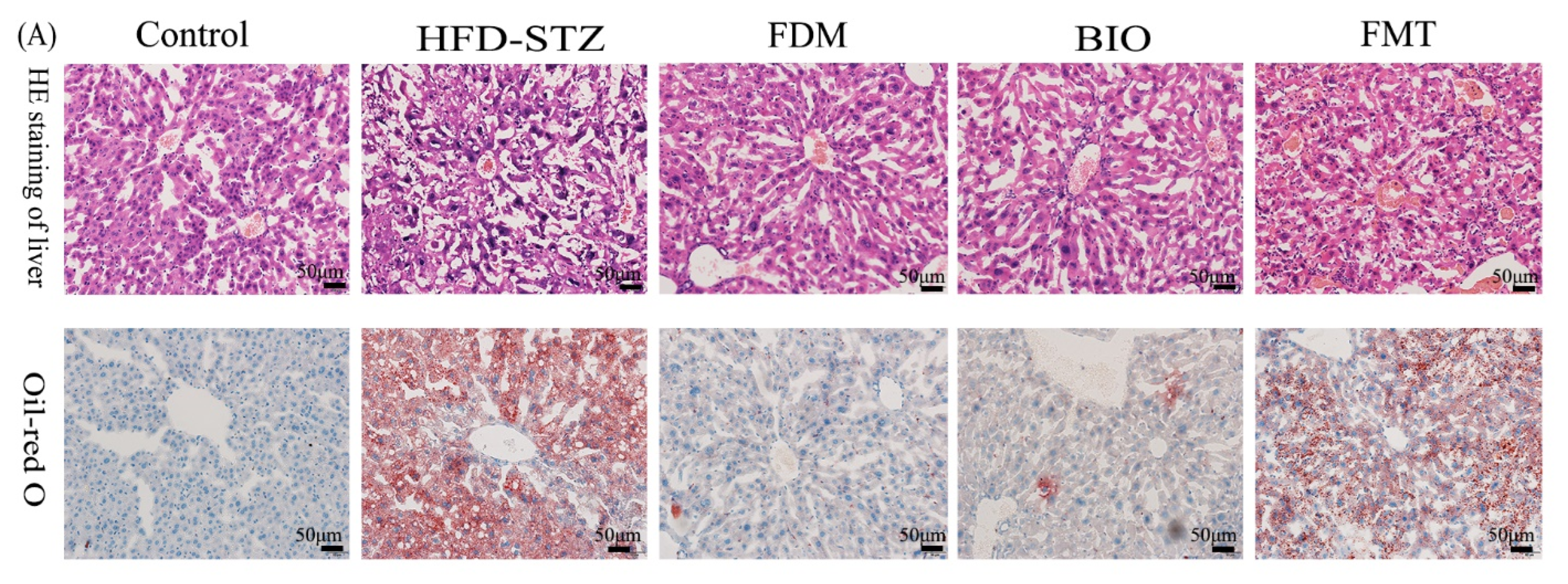 Nutrients 15 00670 g006a