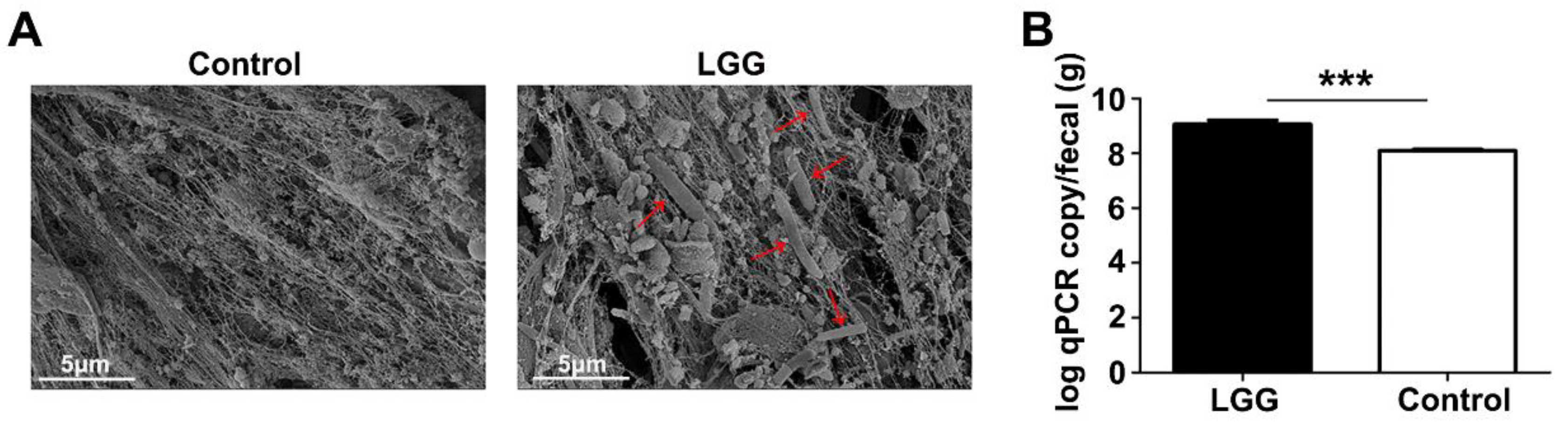 Nutrients 15 00672 g001