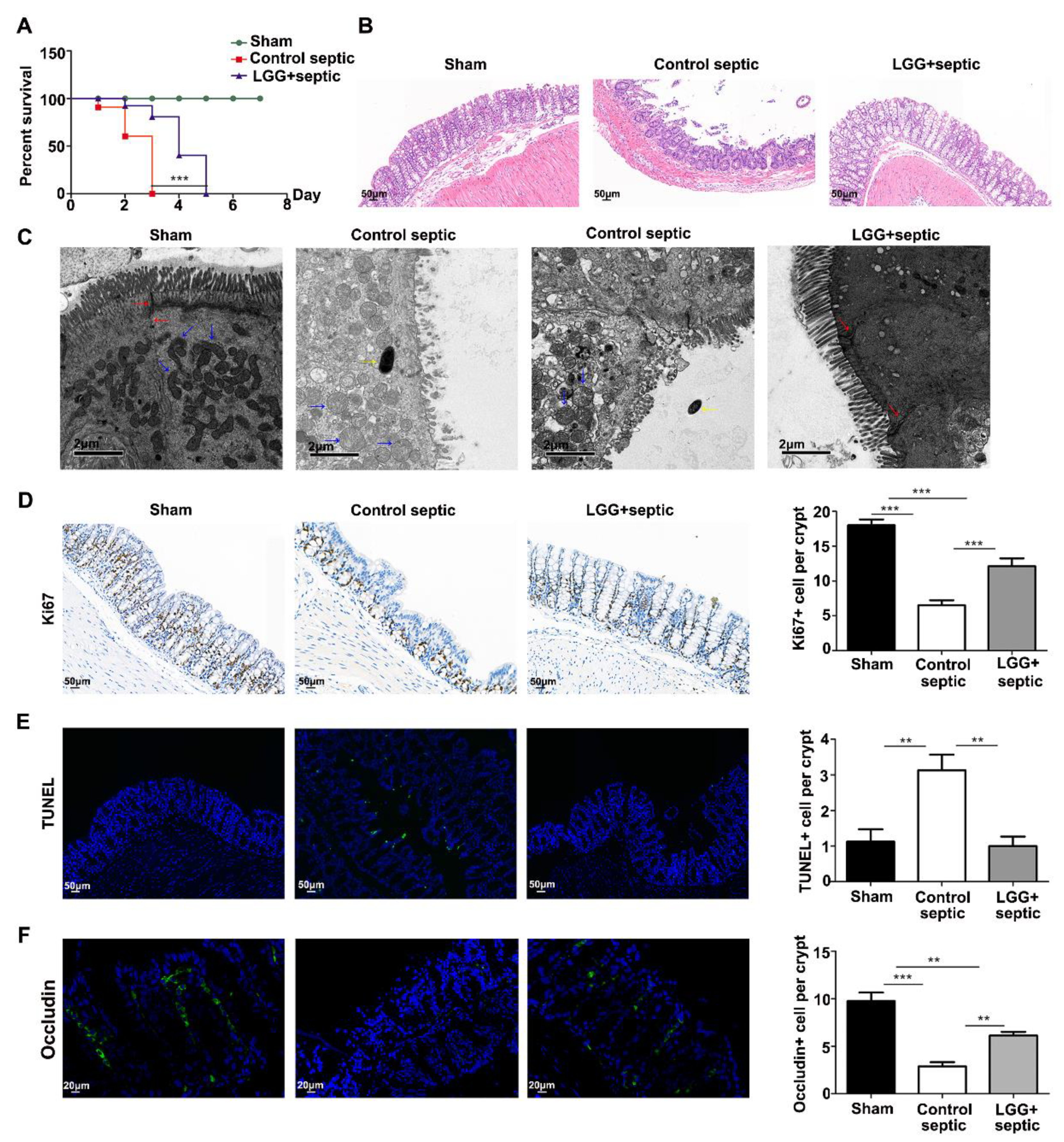 Nutrients 15 00672 g002