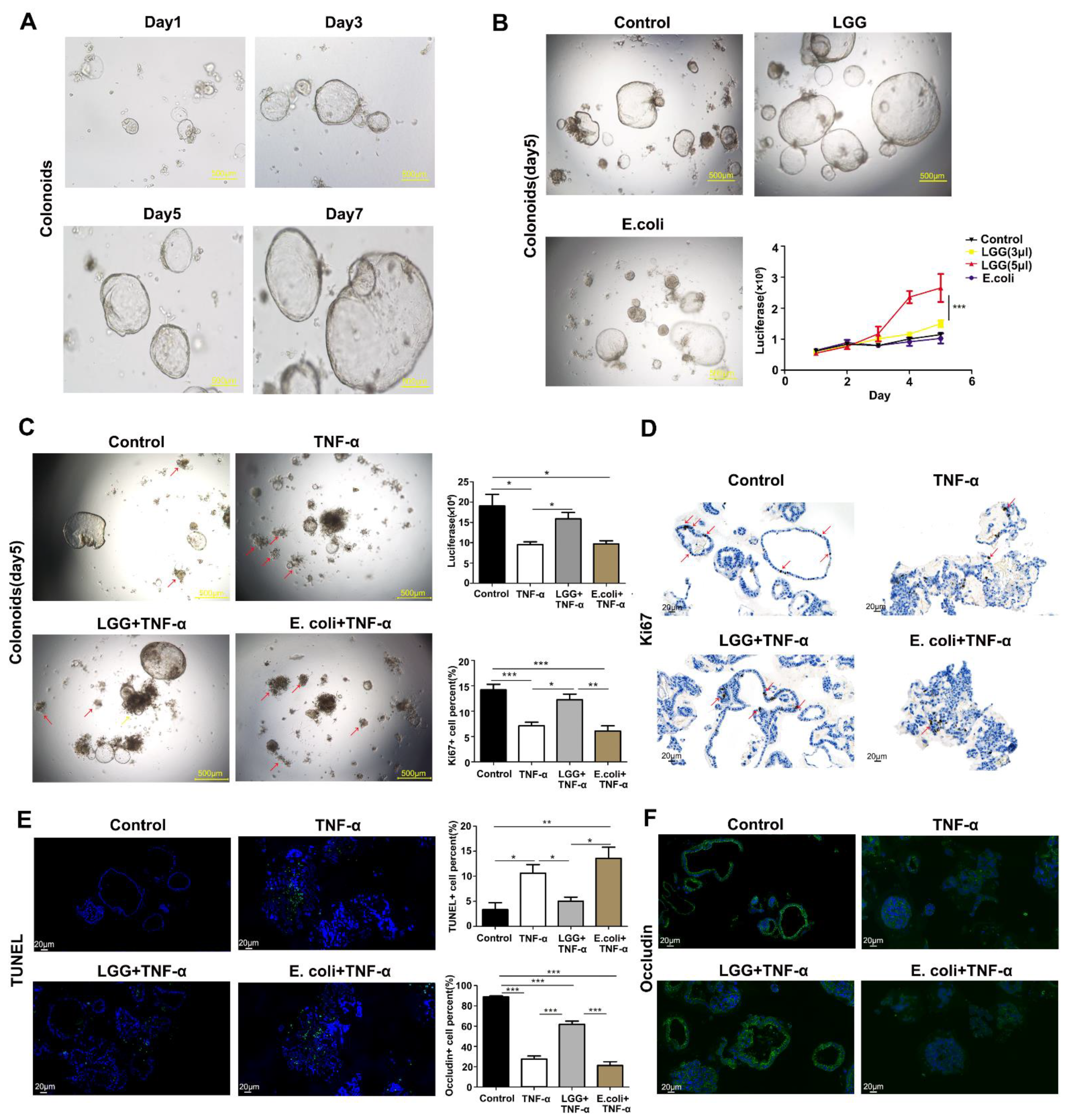 Nutrients 15 00672 g003