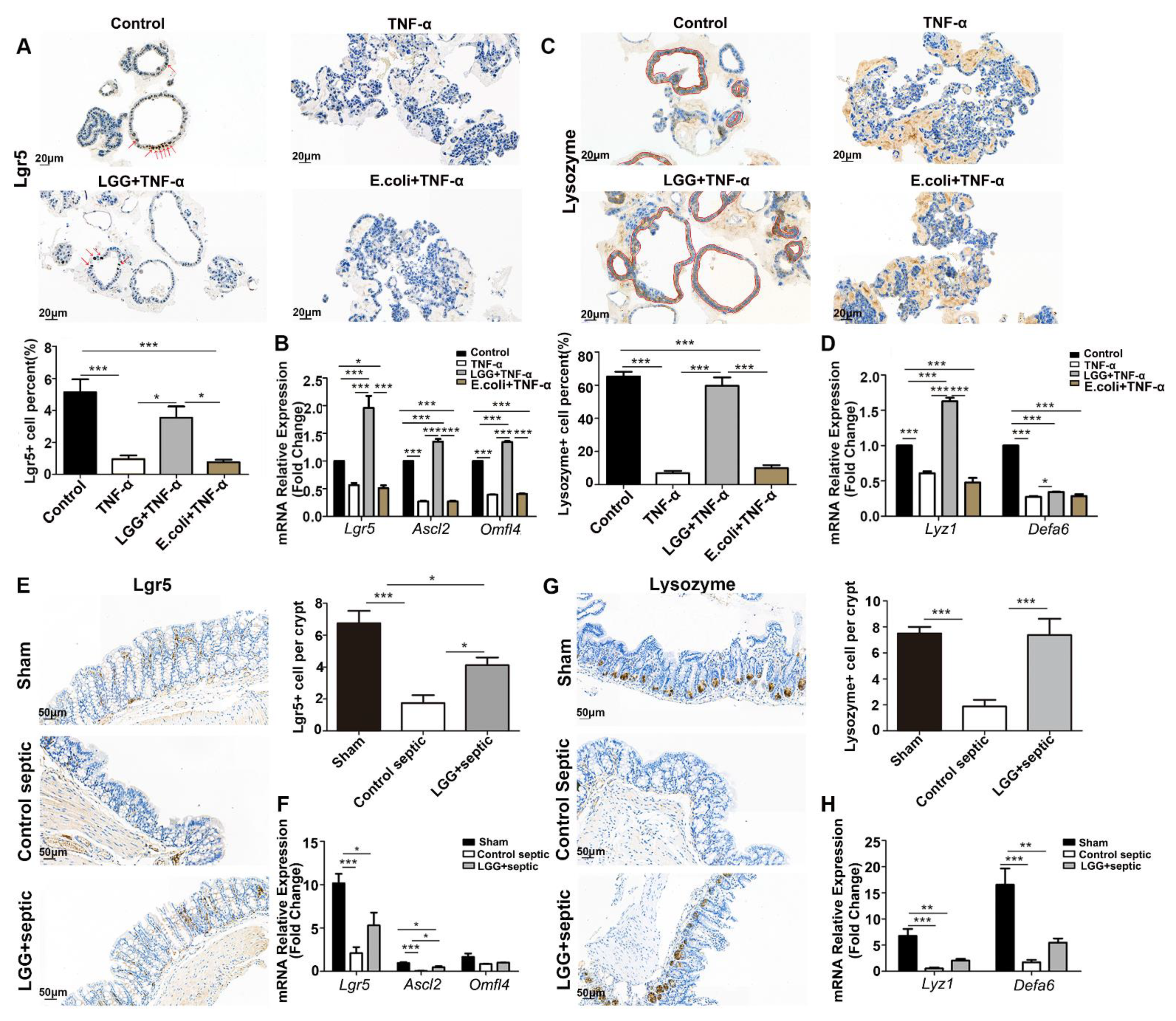Nutrients 15 00672 g004