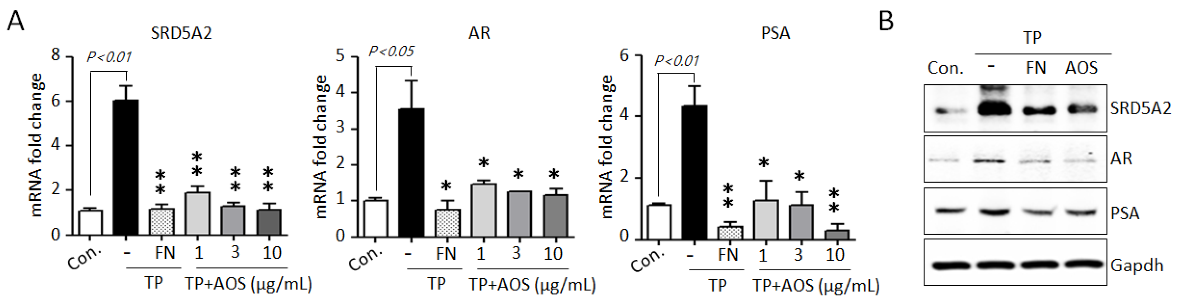 Nutrients 15 00682 g002 Nutrients 15 00682 g002