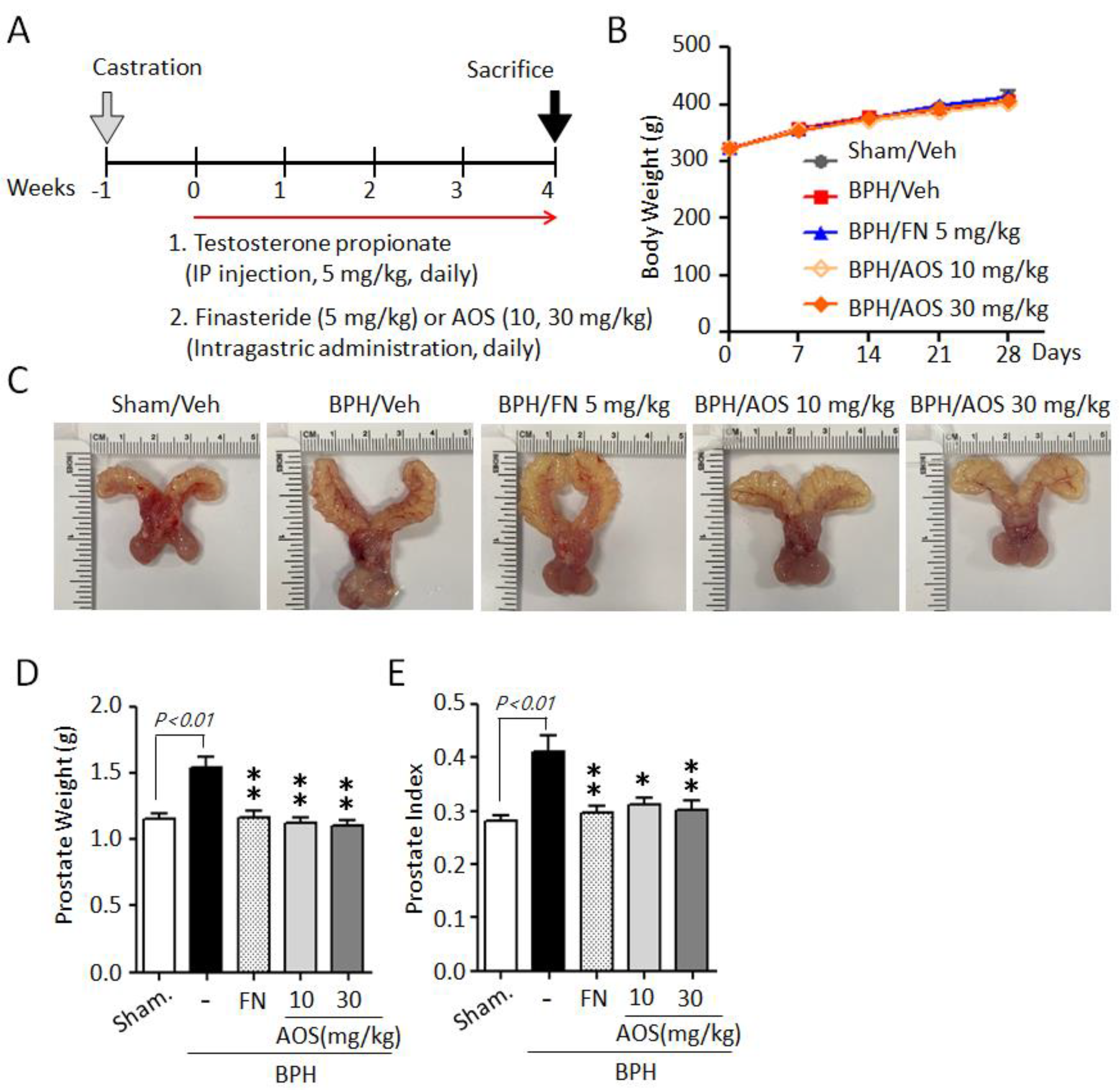 Nutrients 15 00682 g003 Nutrients 15 00682 g003