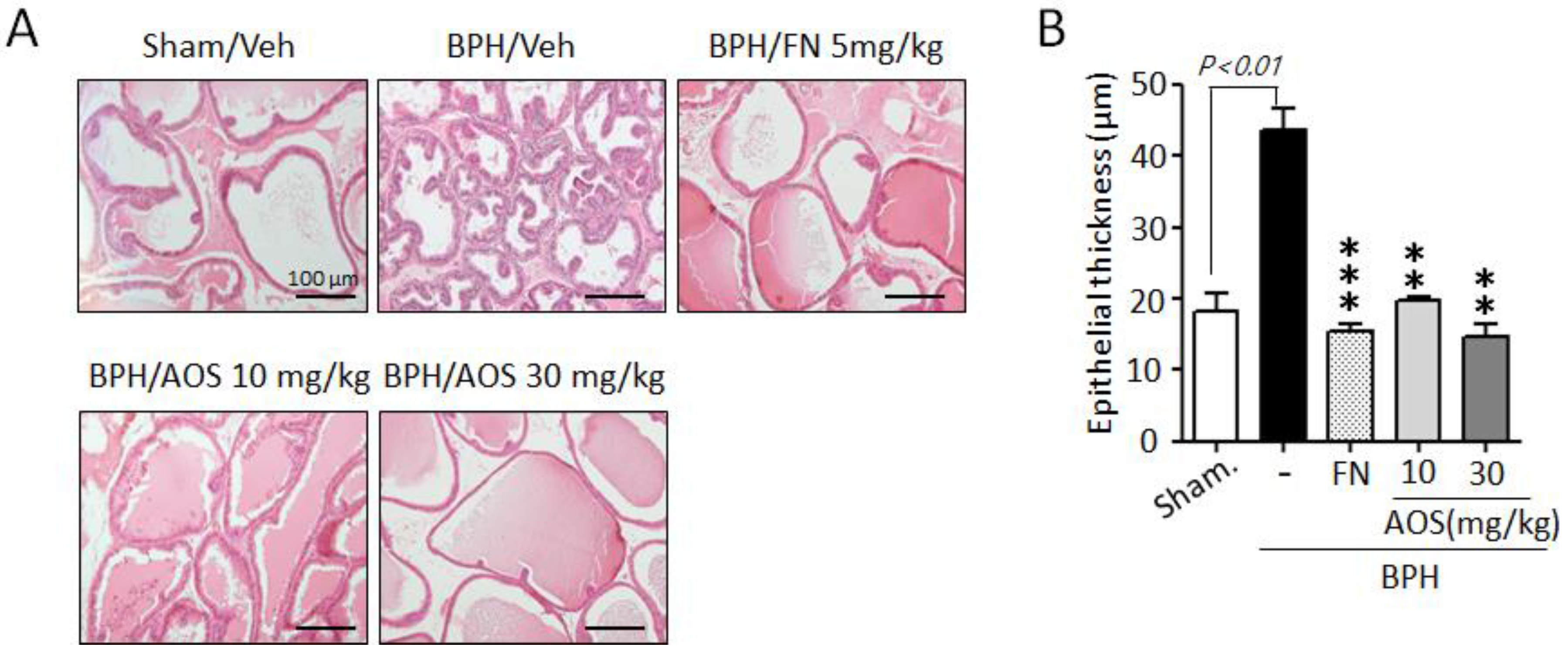 Nutrients 15 00682 g004 Nutrients 15 00682 g004