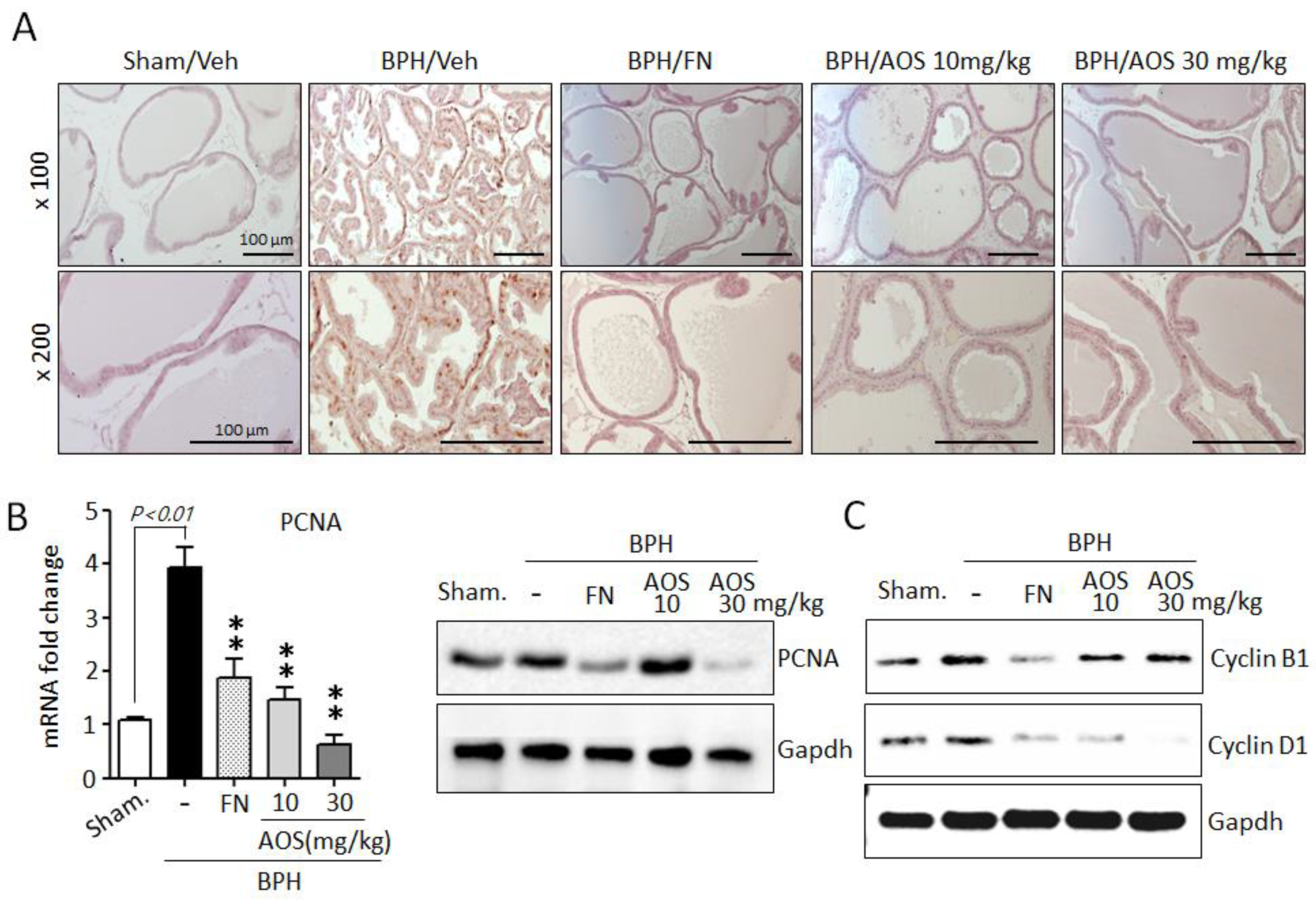 Nutrients 15 00682 g005 Nutrients 15 00682 g005