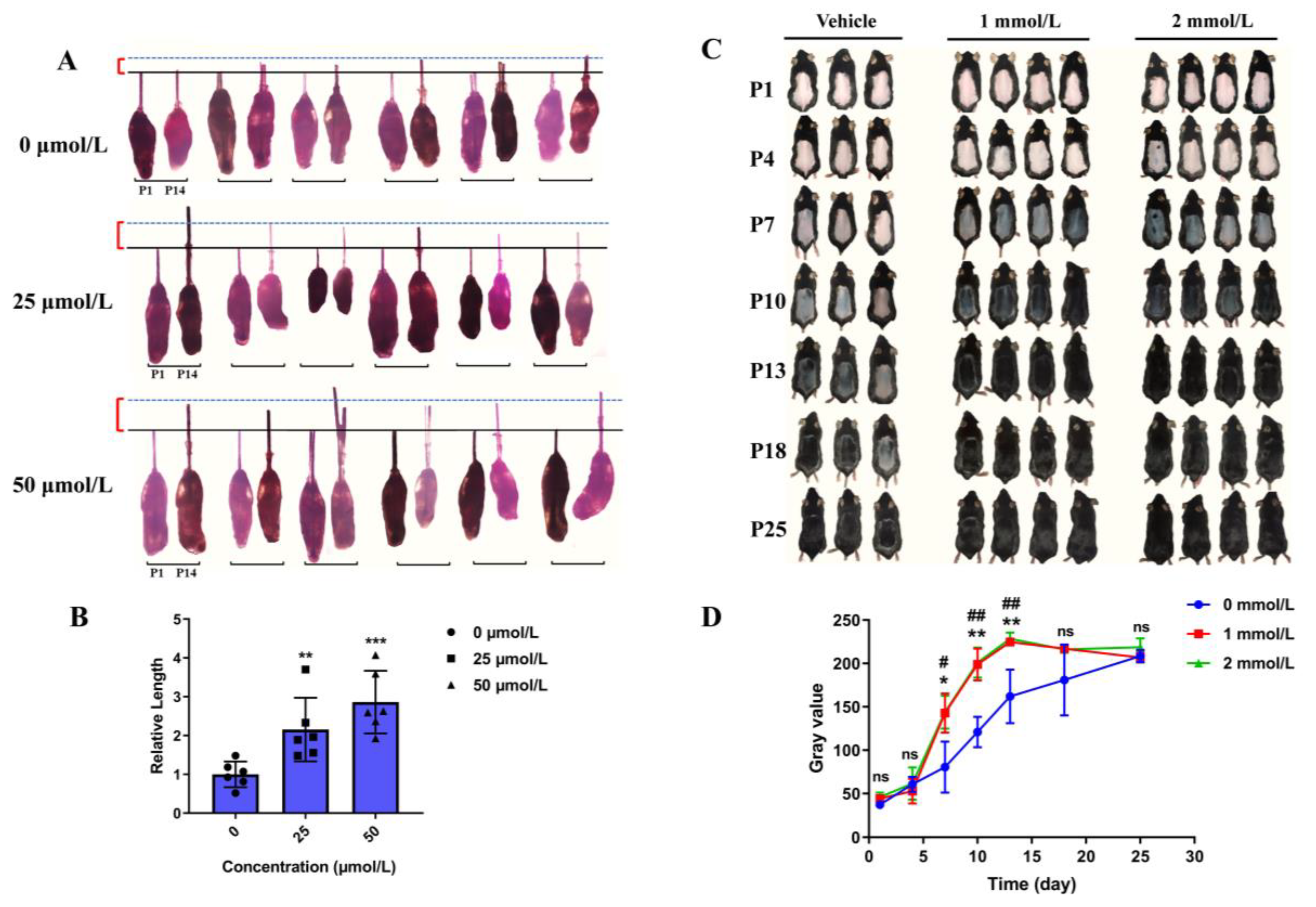 Nutrients 15 00694 g002