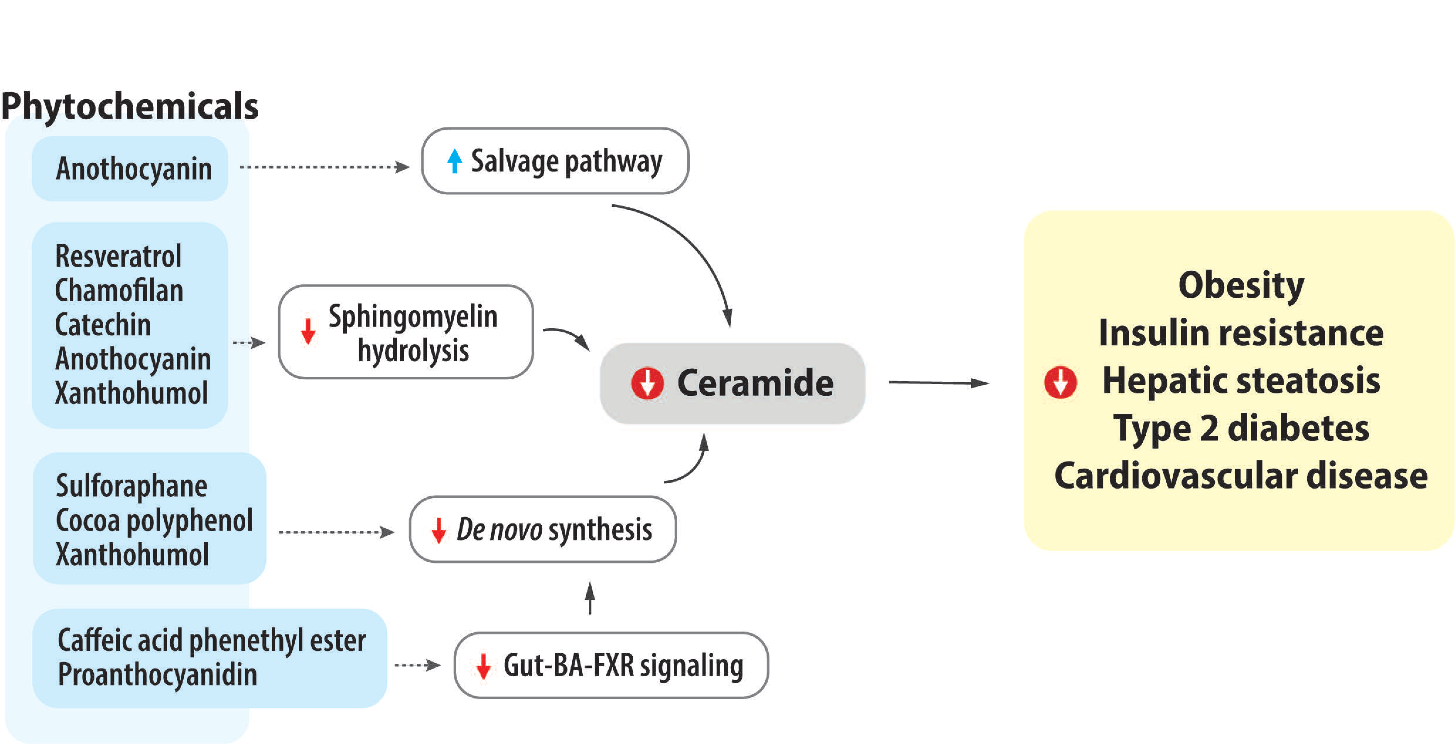 Nutrients 15 00703 g002