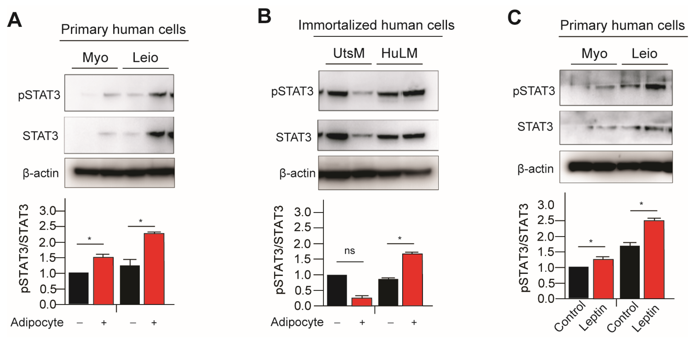 Nutrients 15 00715 g001 Nutrients 15 00715 g001