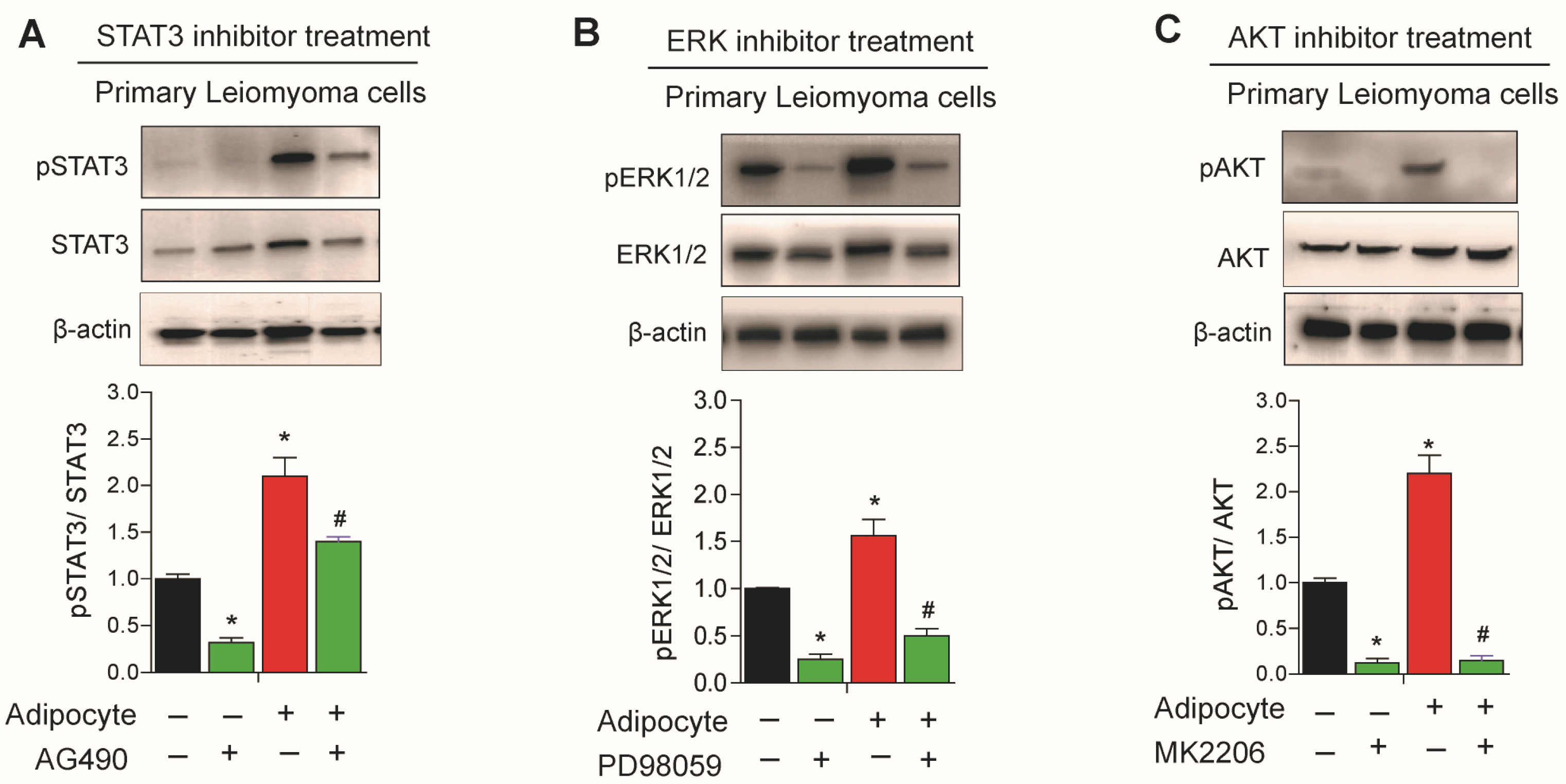 Nutrients 15 00715 g006 Nutrients 15 00715 g006