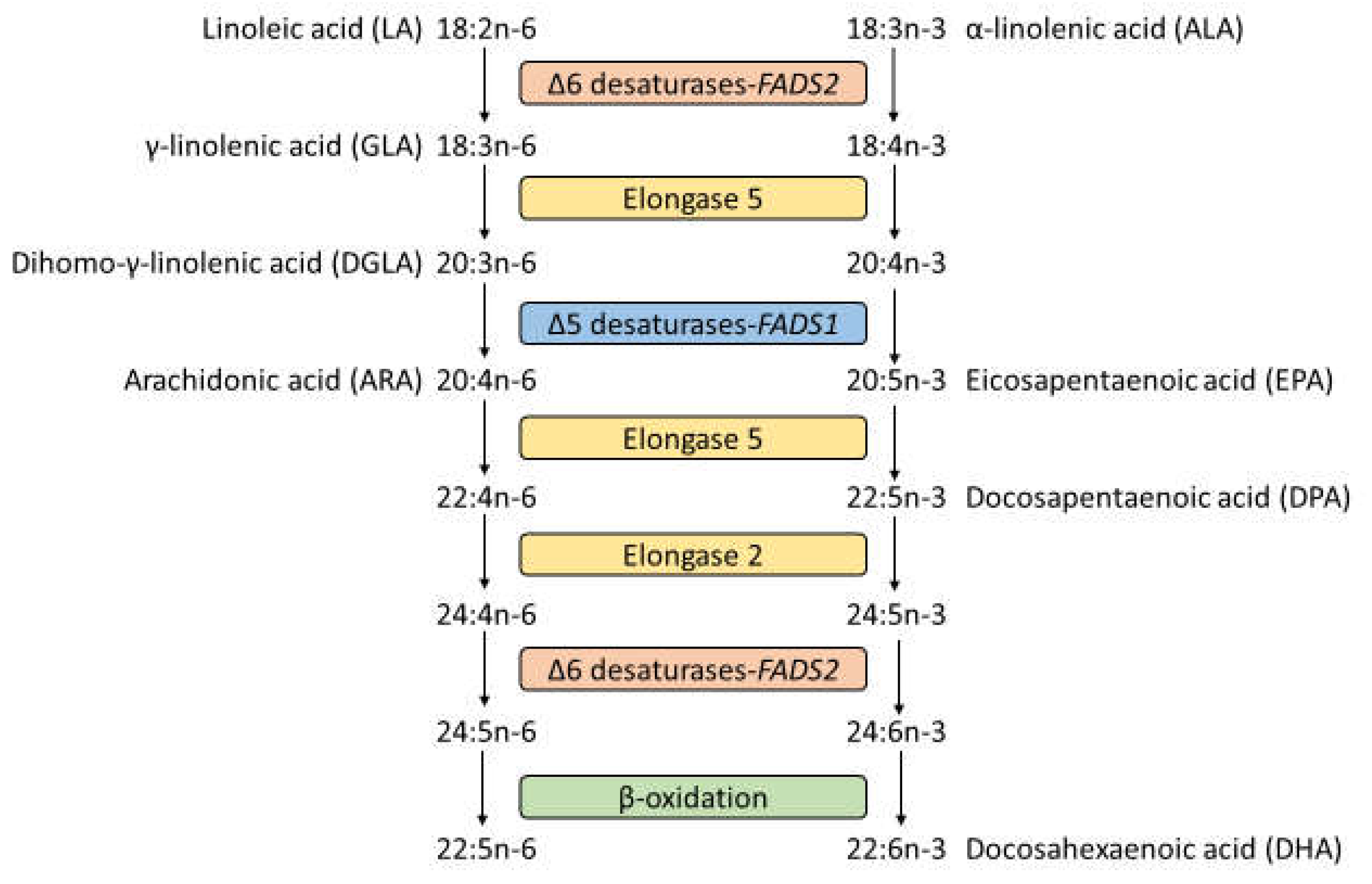 Nutrients 15 00722 g001 Nutrients 15 00722 g001