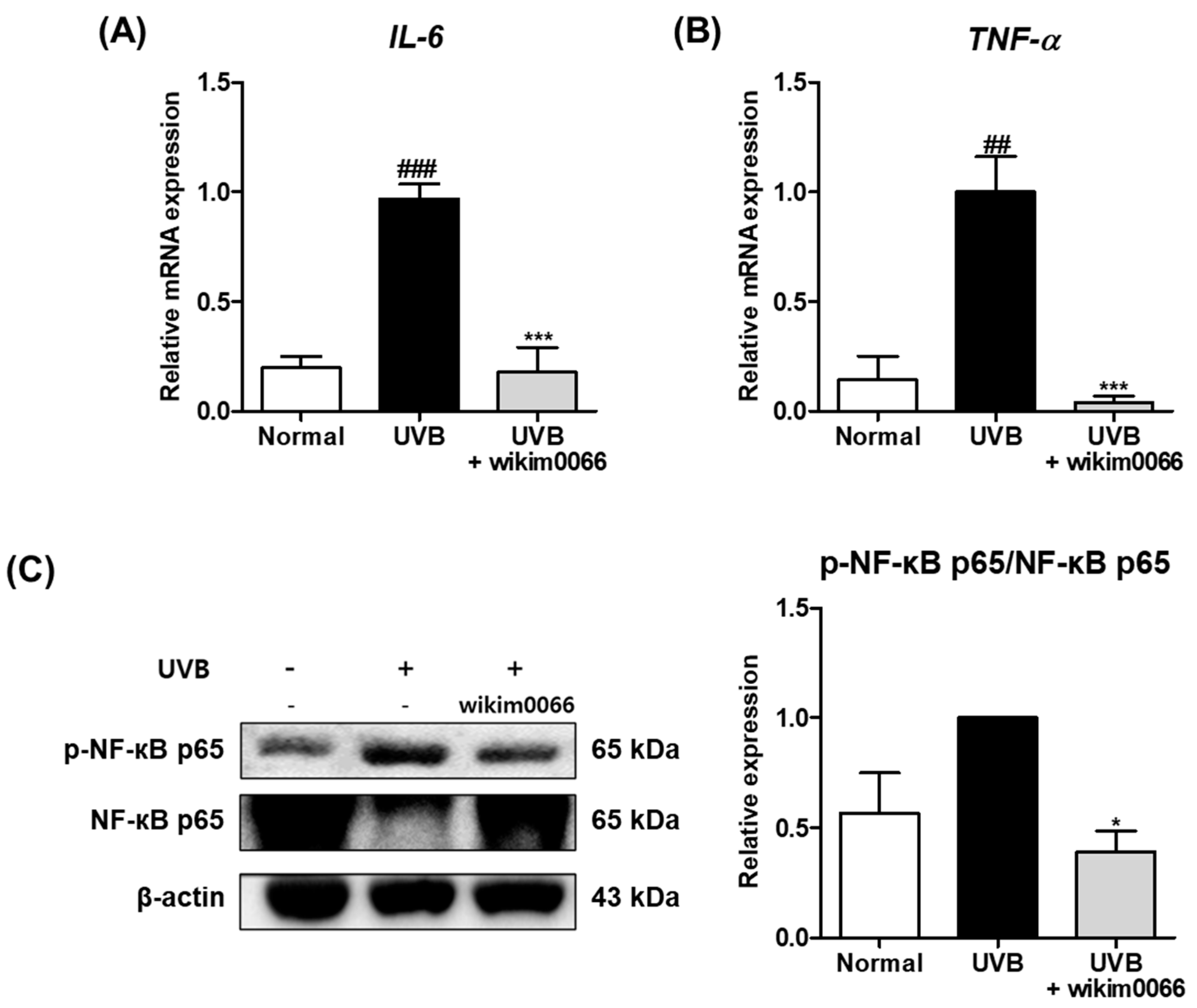 Nutrients 15 00726 g007 Nutrients 15 00726 g007
