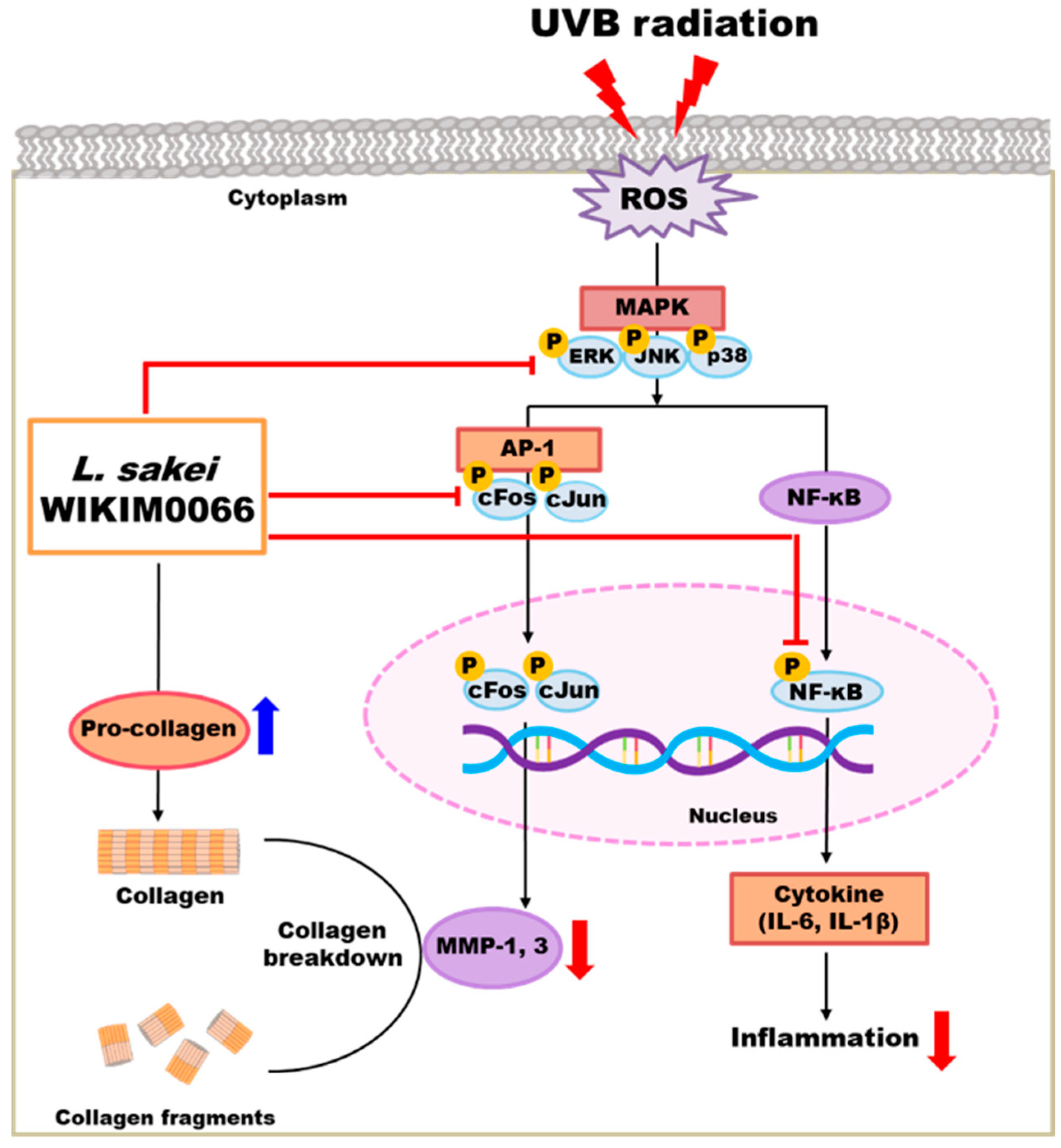 Nutrients 15 00726 g009 Nutrients 15 00726 g009