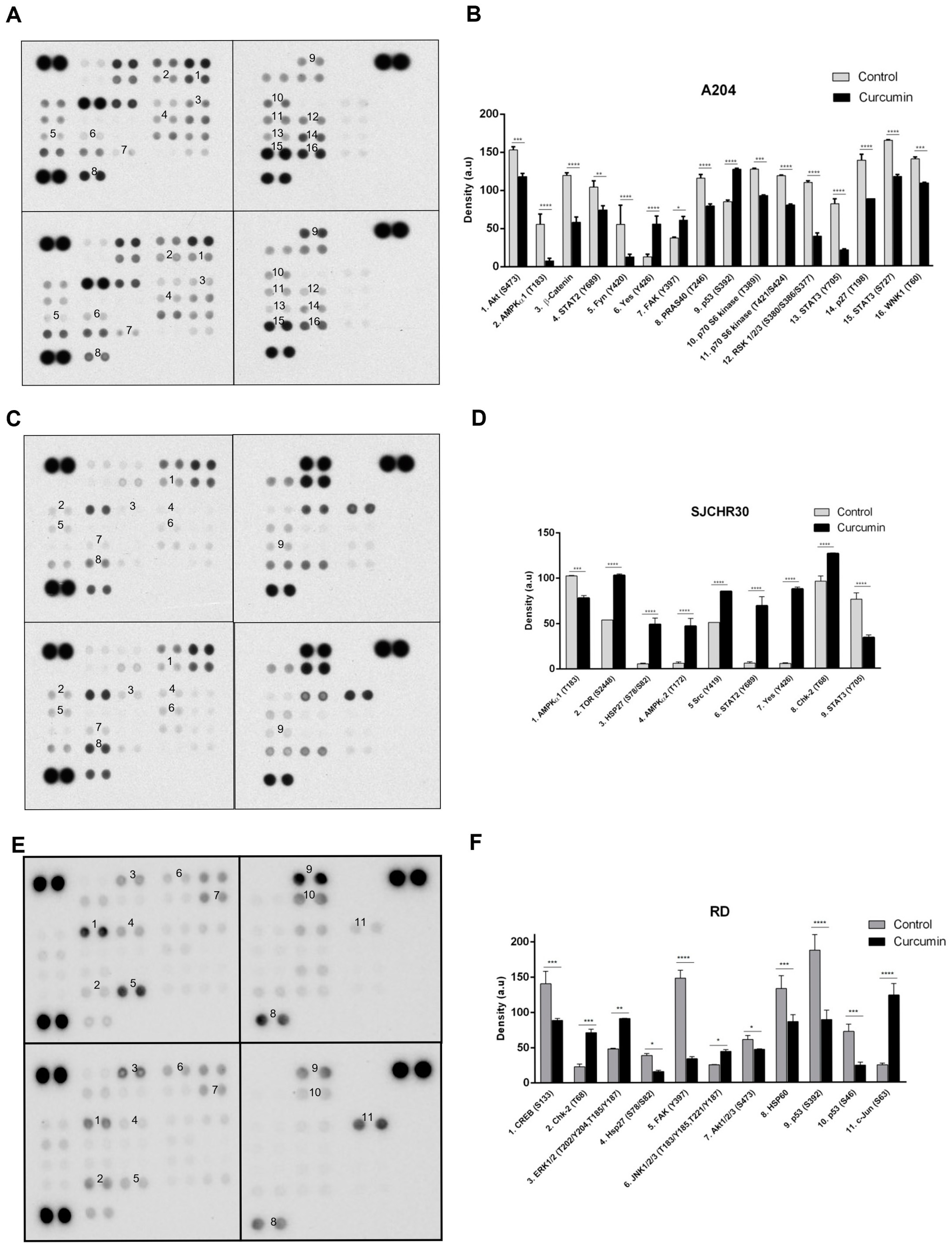 Nutrients 15 00740 g004