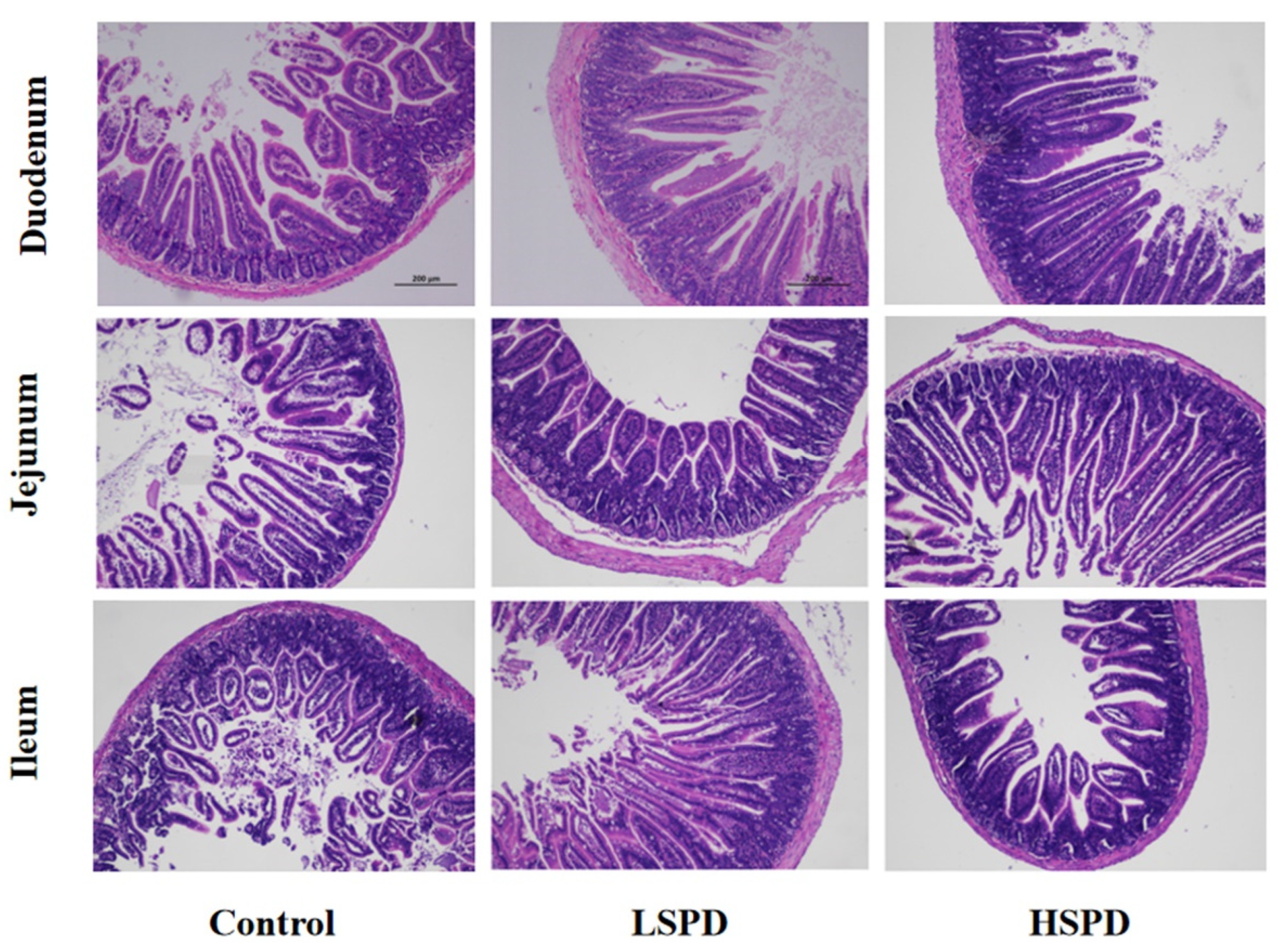 Nutrients 15 00744 g002