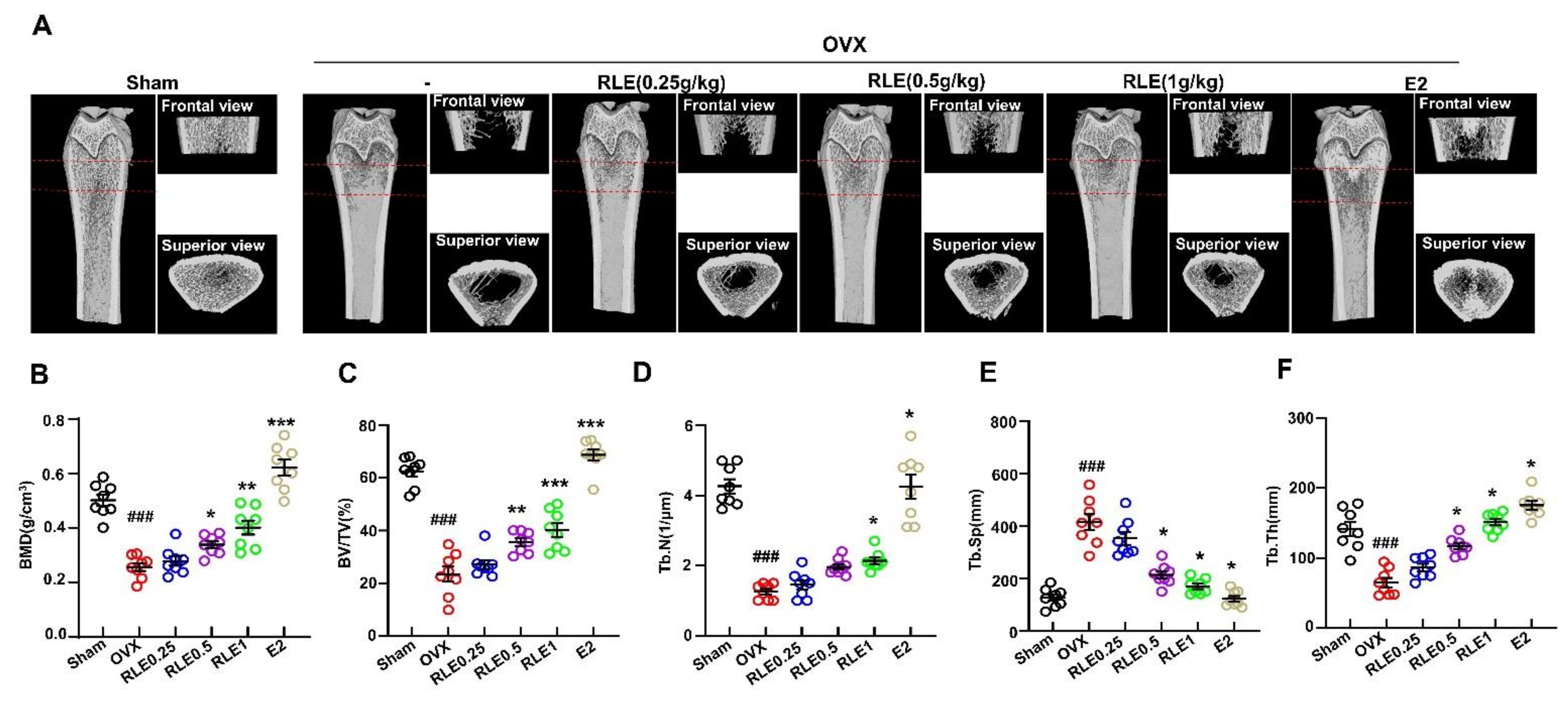 Nutrients 15 00745 g003