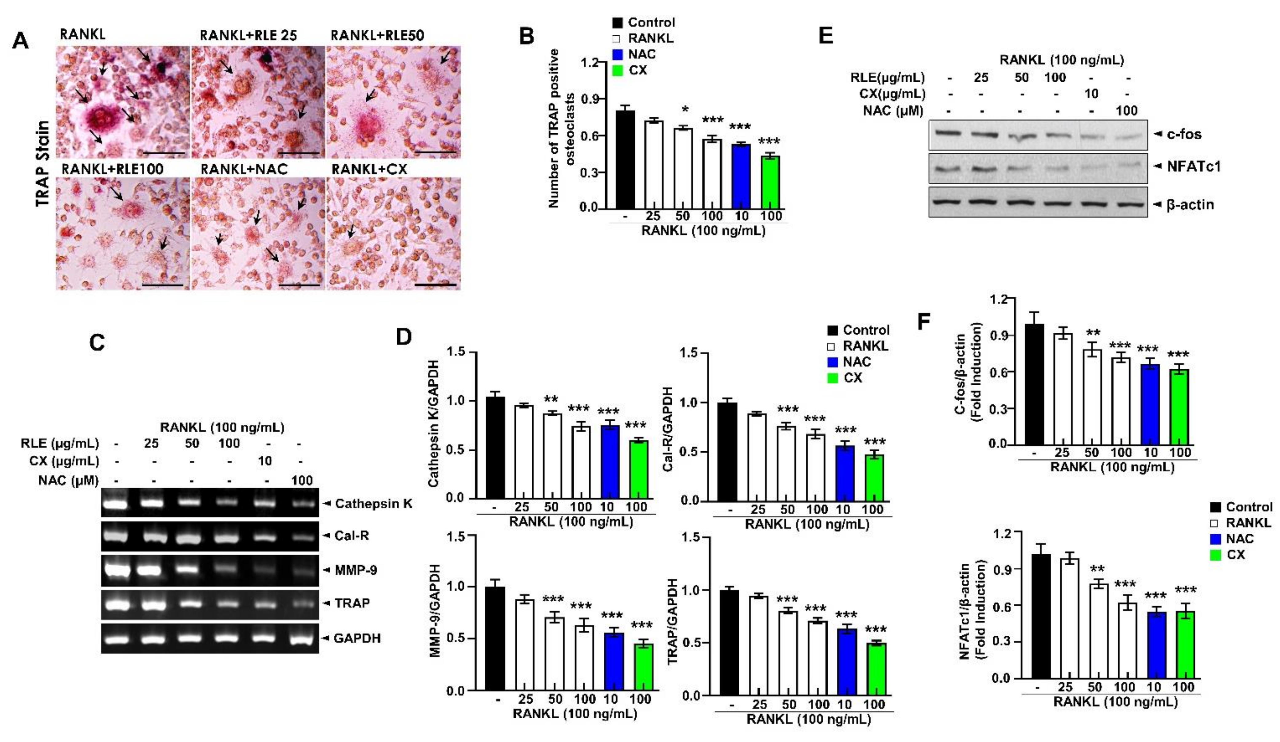 Nutrients 15 00745 g007