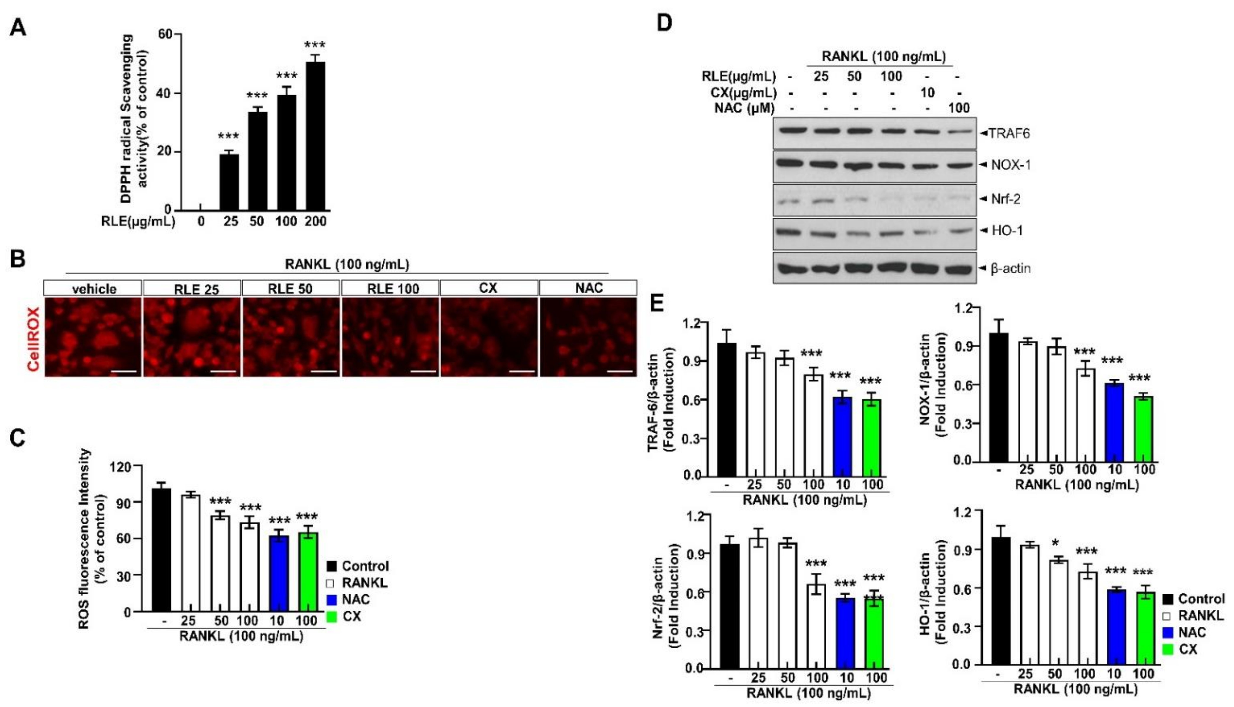 Nutrients 15 00745 g008