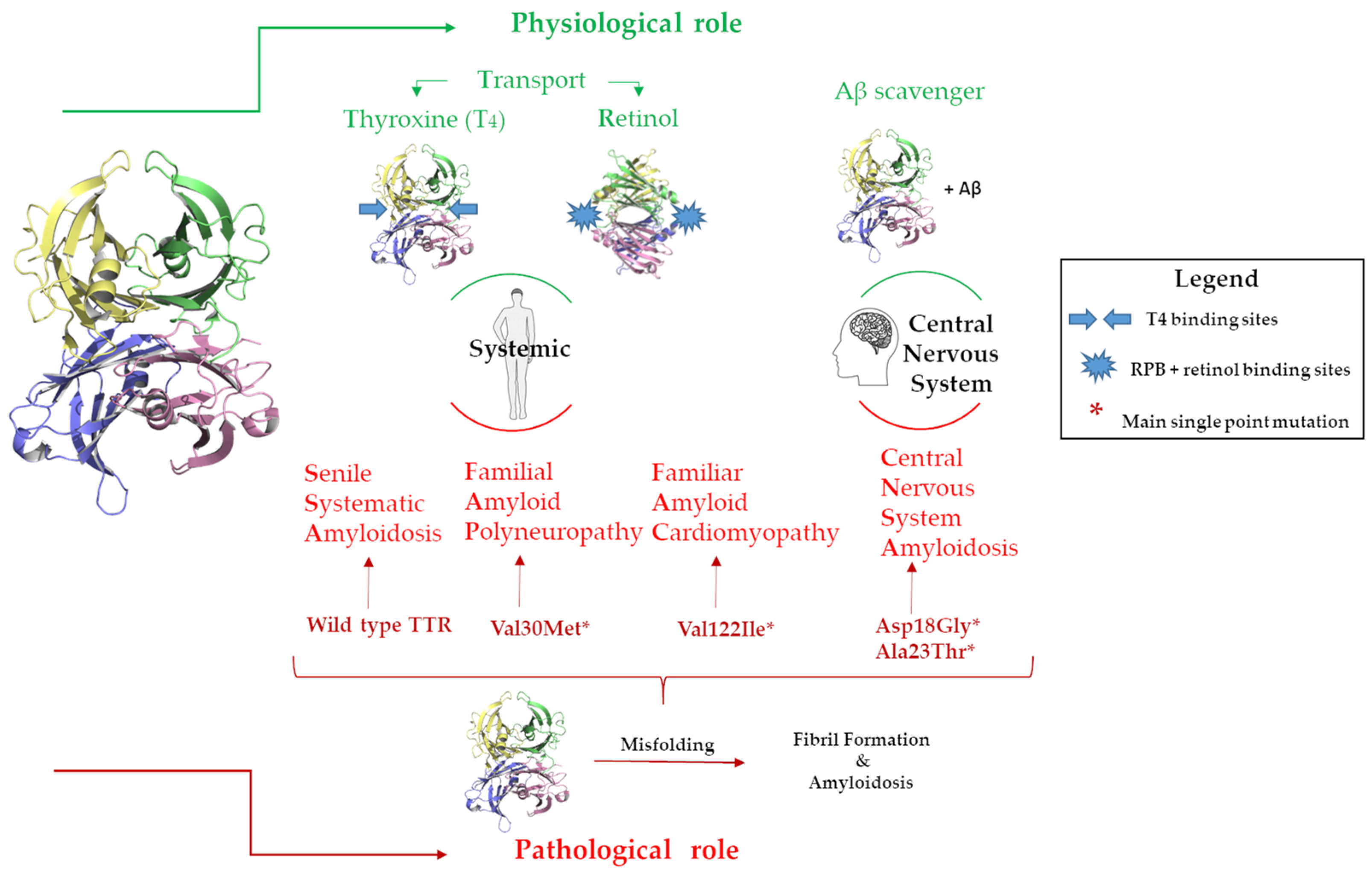 Nutrients 15 00749 g002
