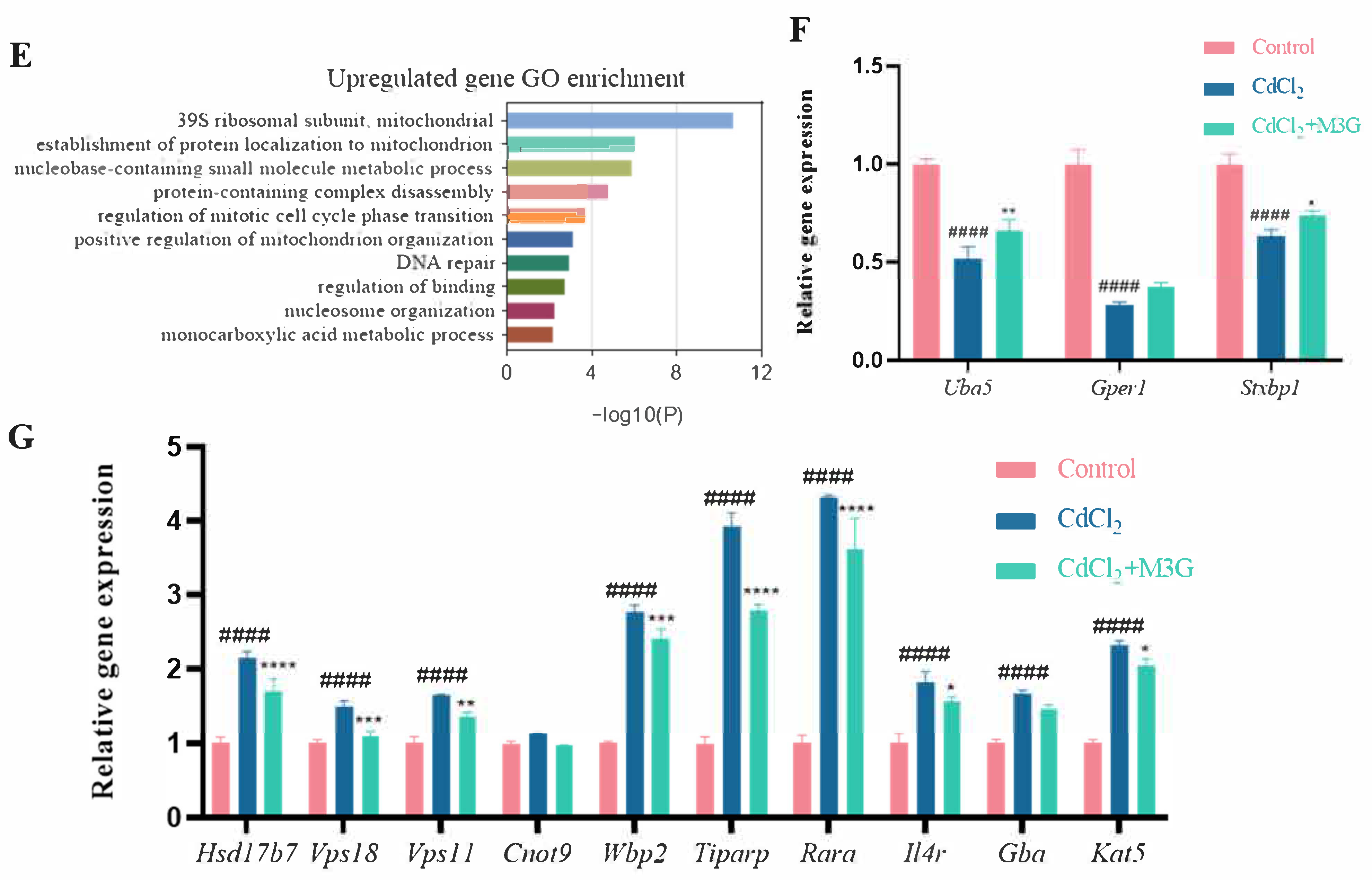 Nutrients 15 00753 g005b Nutrients 15 00753 g005b