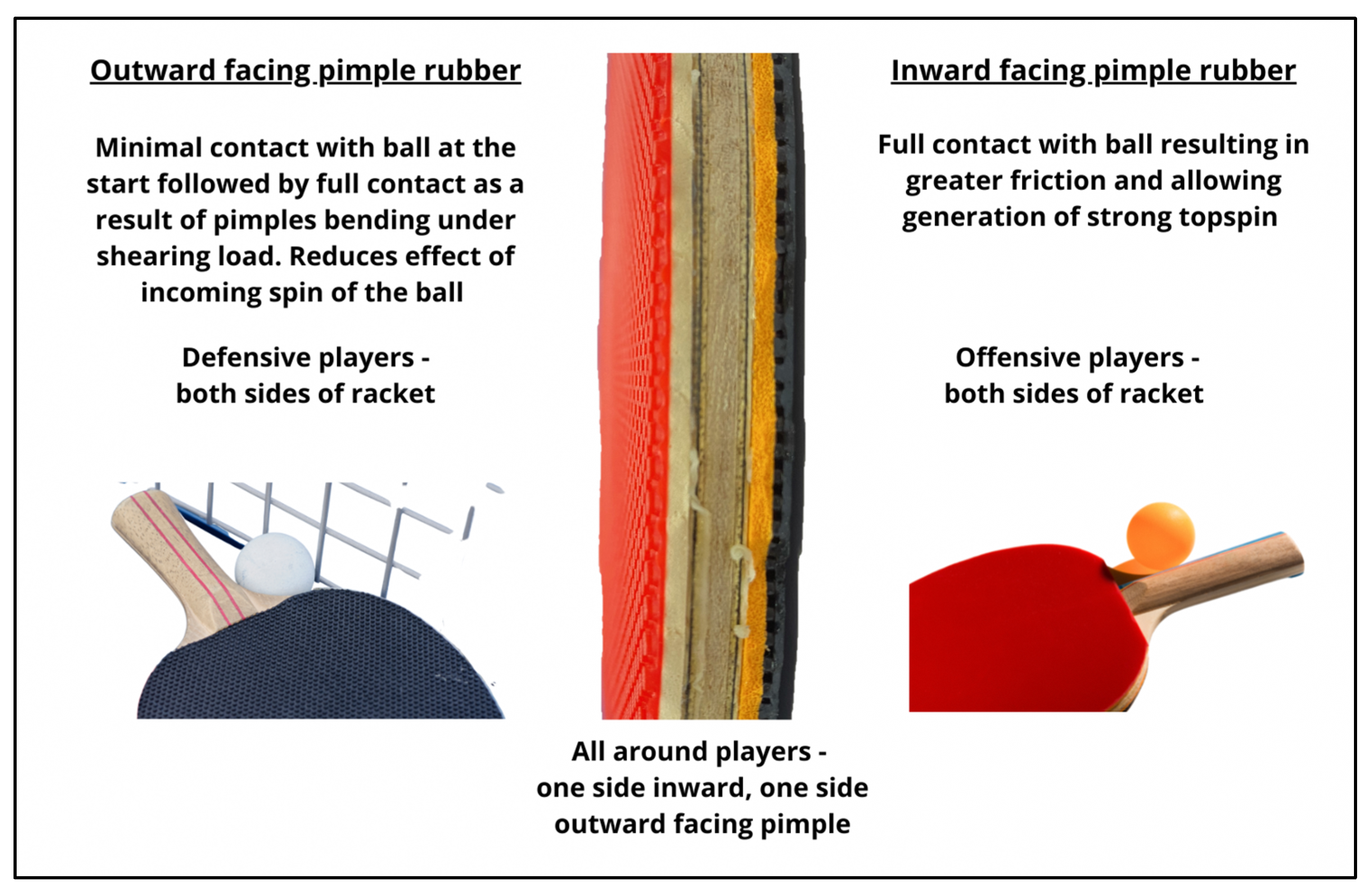 Nutrients 15 00775 g002