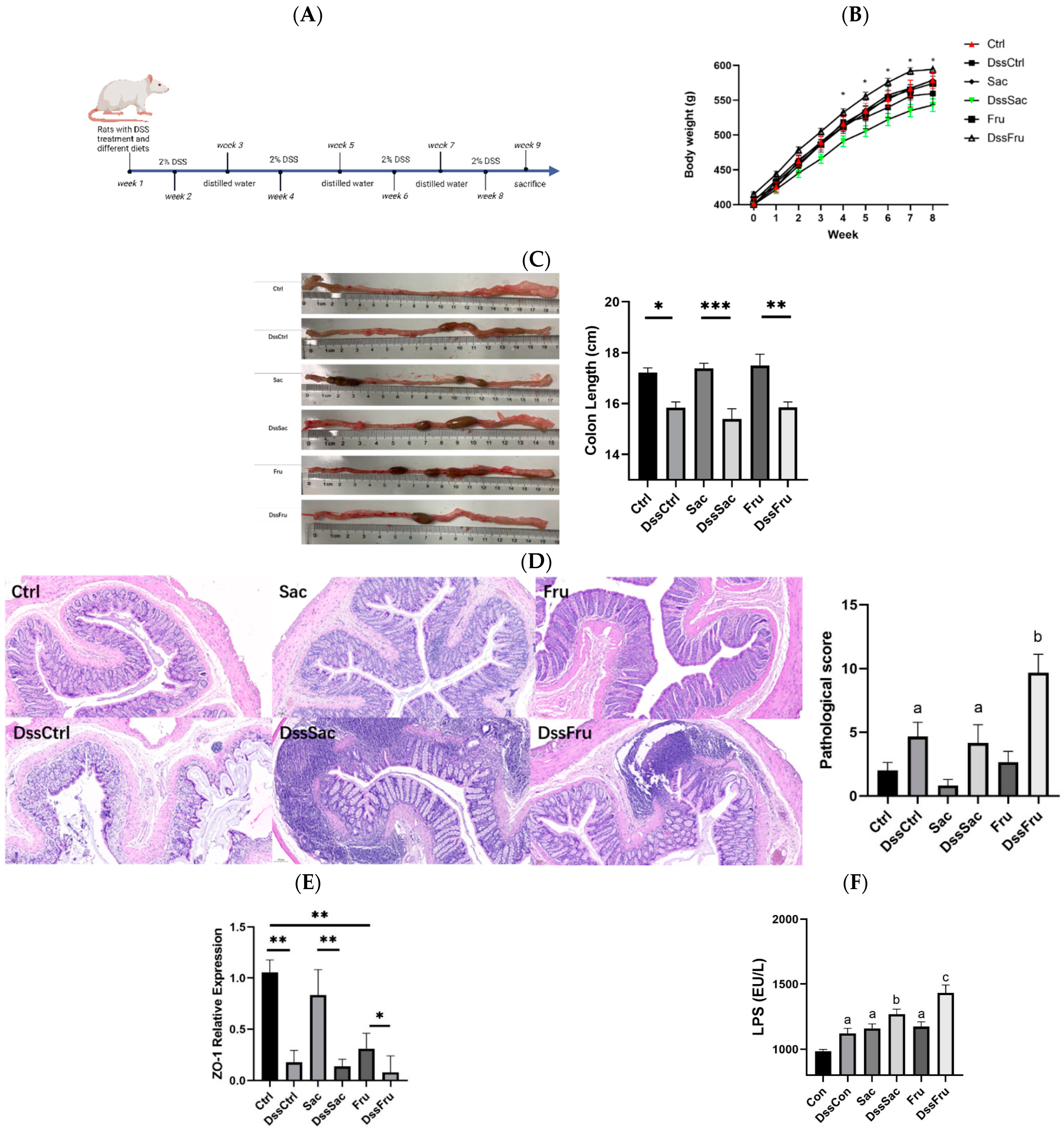 Nutrients 15 00782 g001