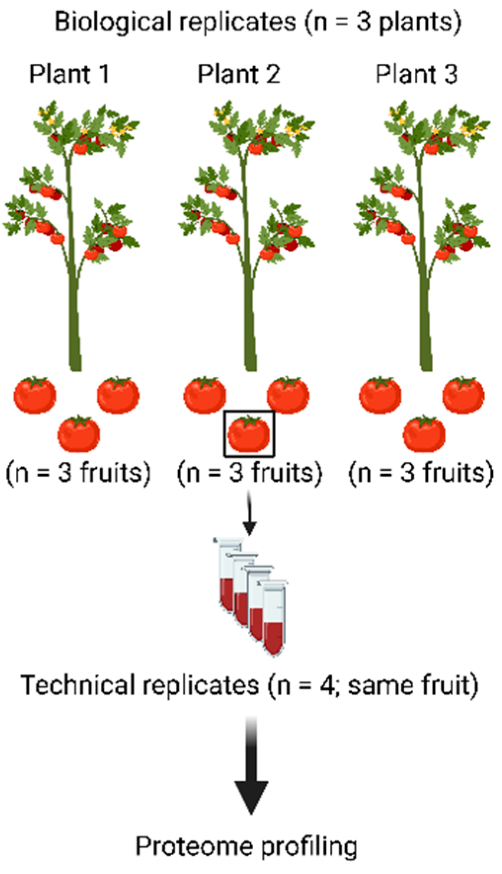 Nutrients 15 00783 g002