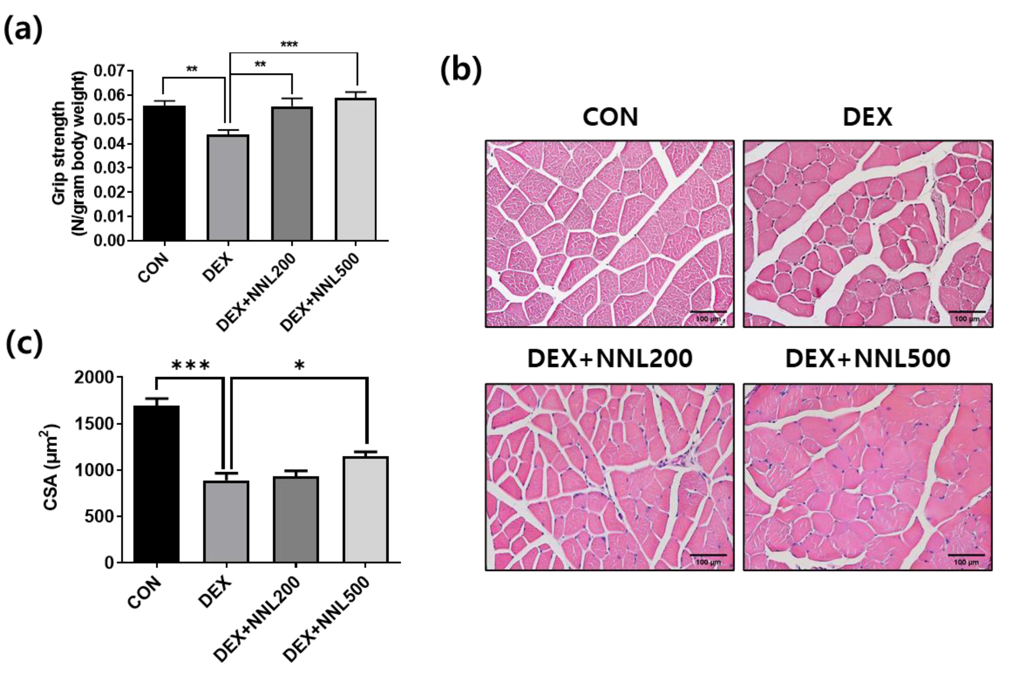 Nutrients 15 00804 g003