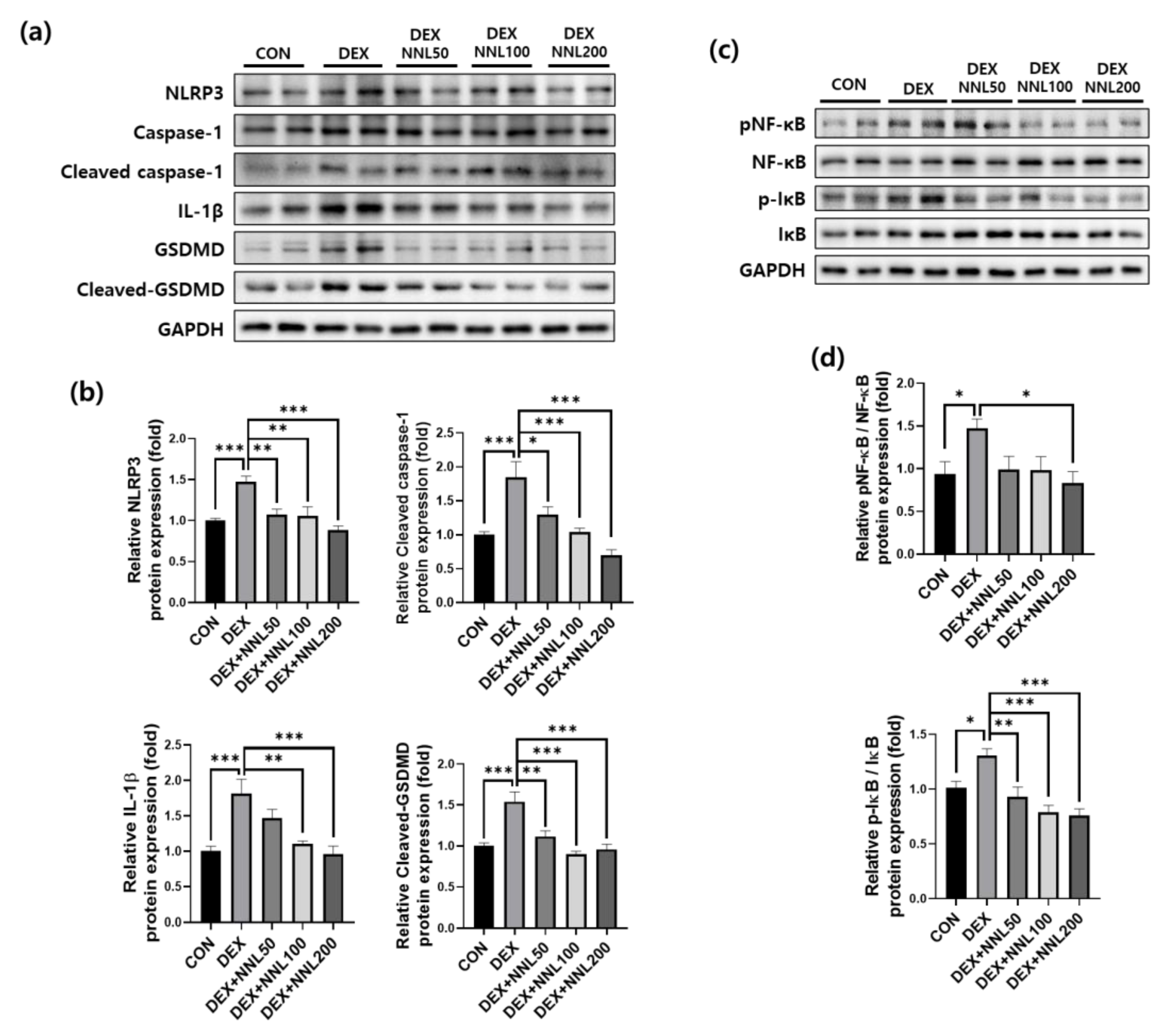 Nutrients 15 00804 g008