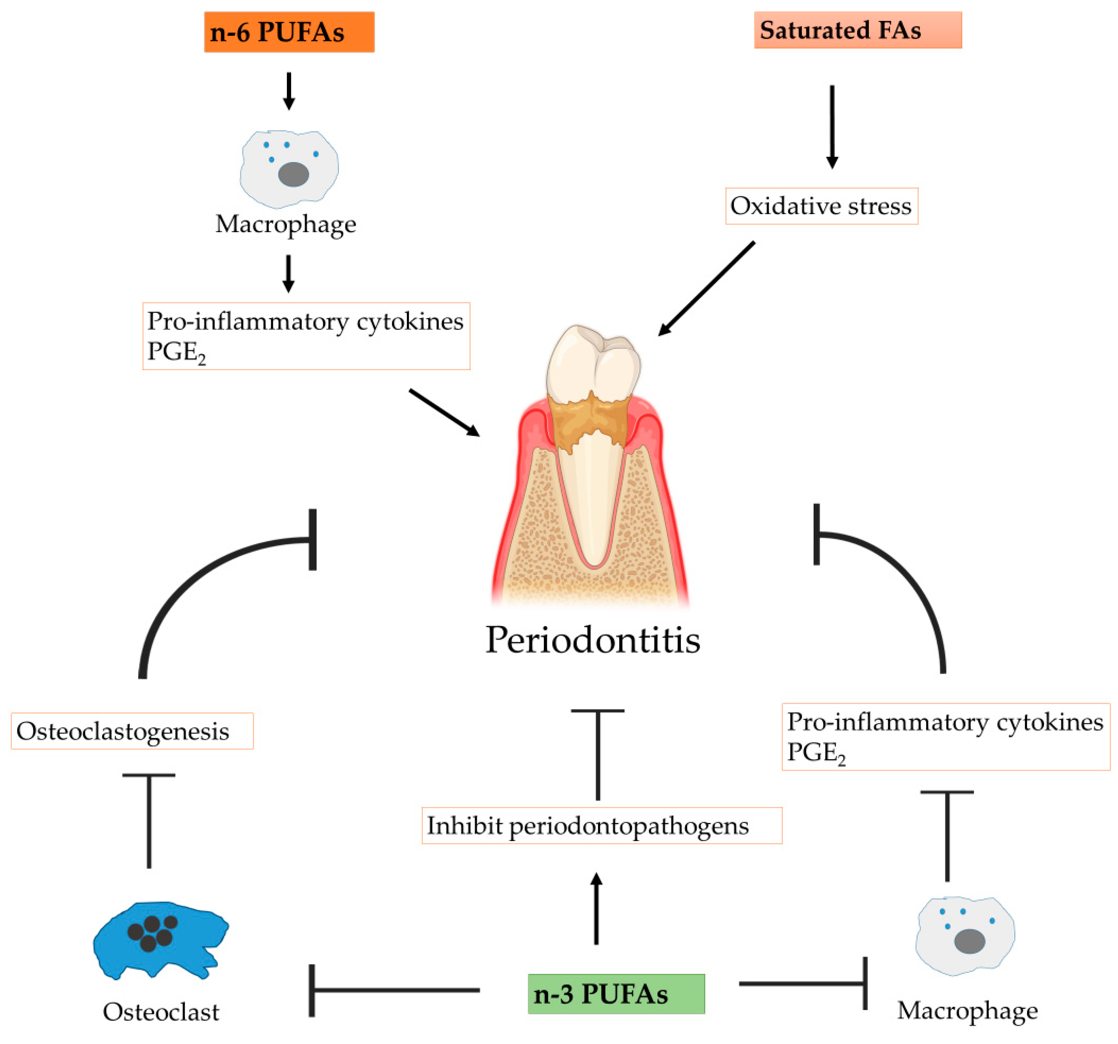 Nutrients 15 00821 g003