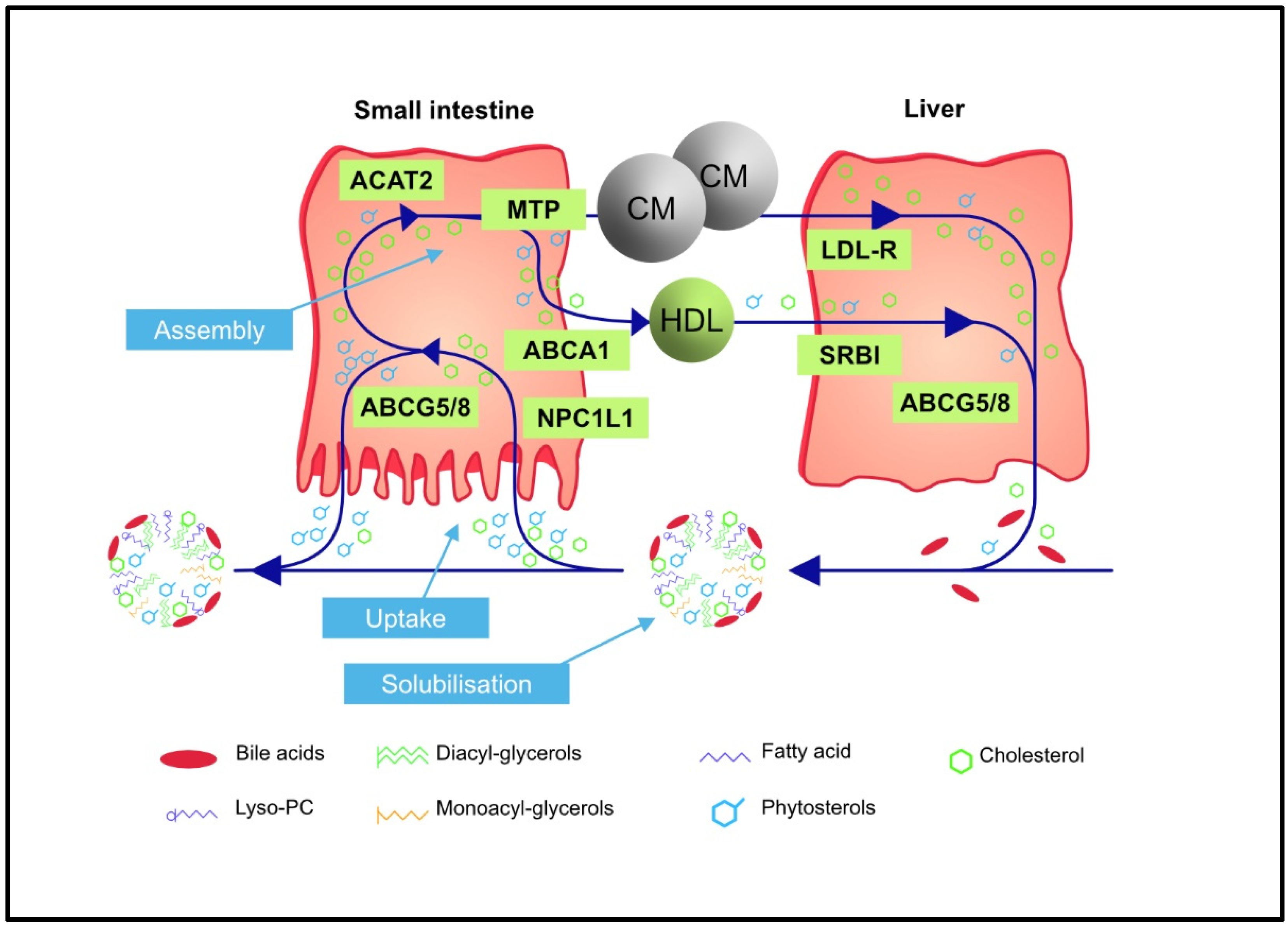 Nutrients 15 00828 g001