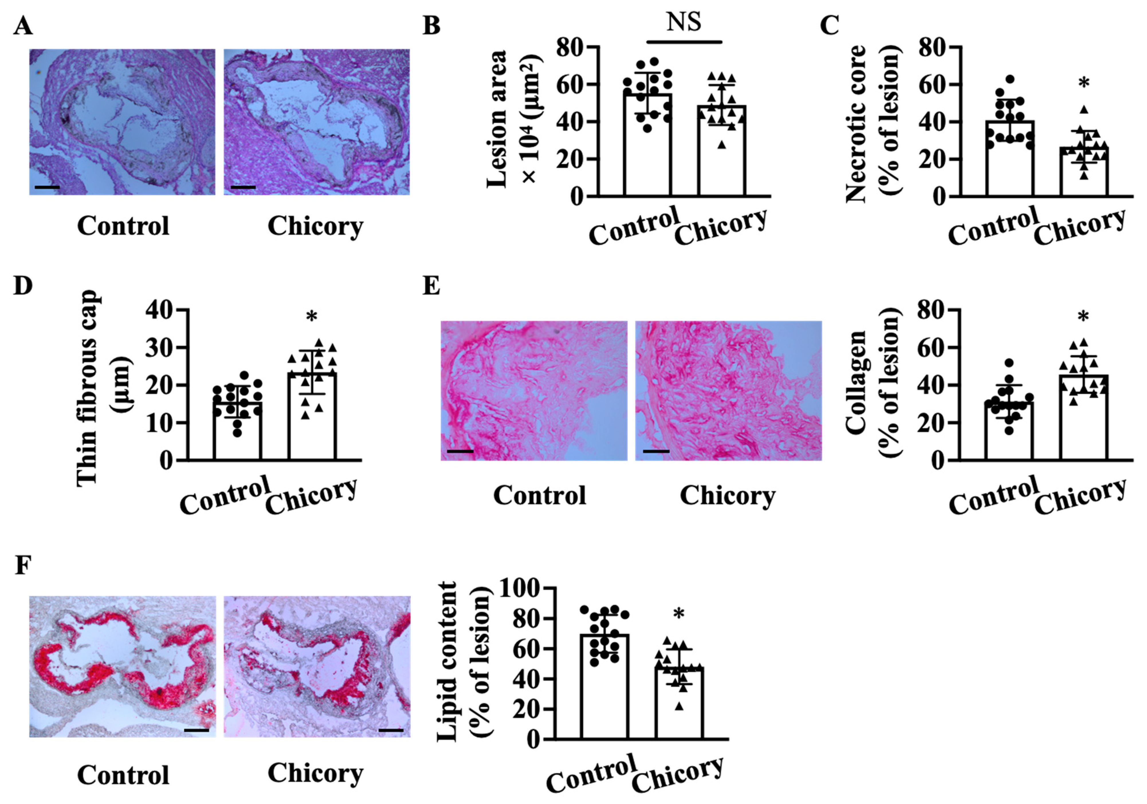 Nutrients 15 00832 g001