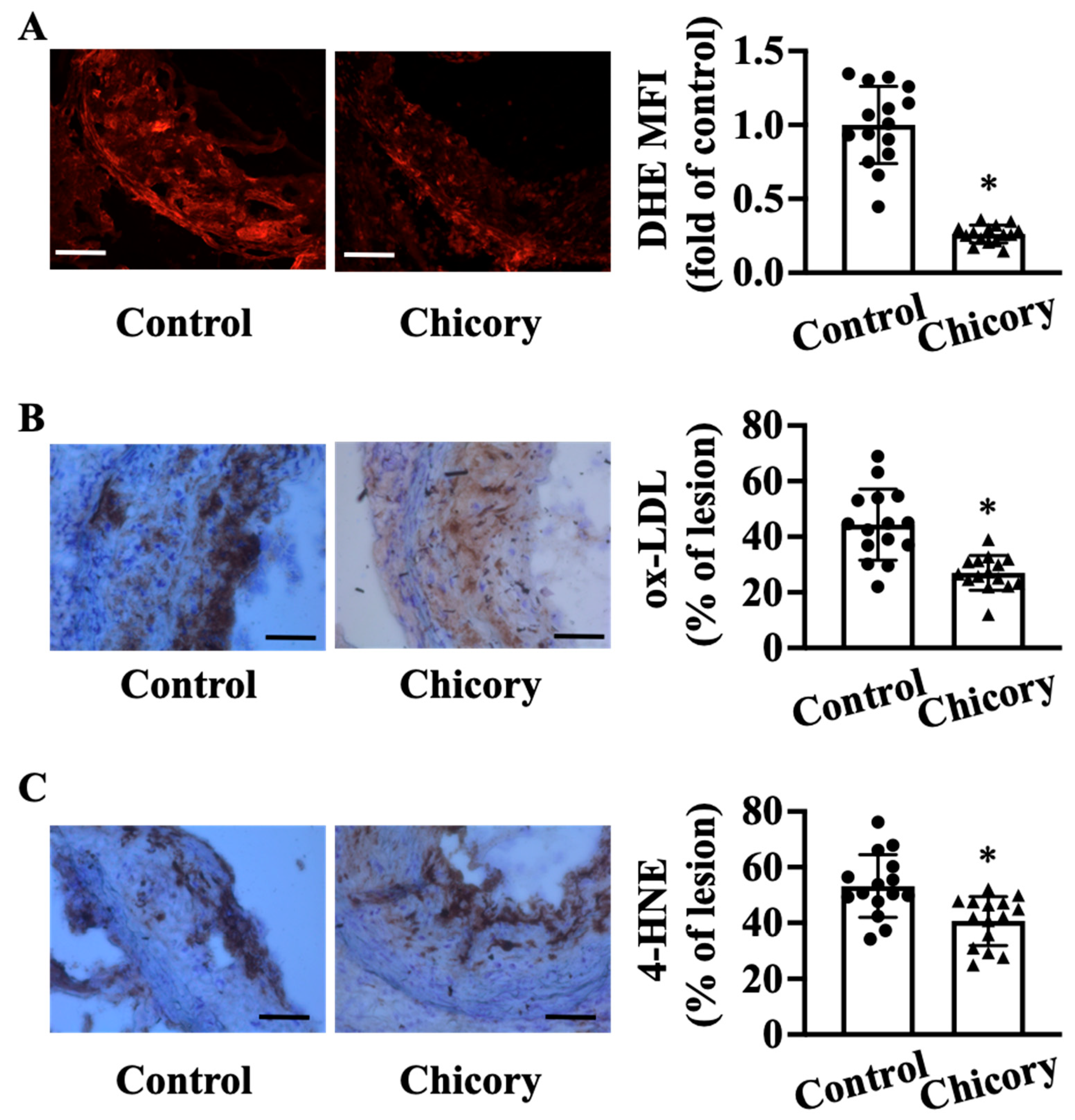 Nutrients 15 00832 g004