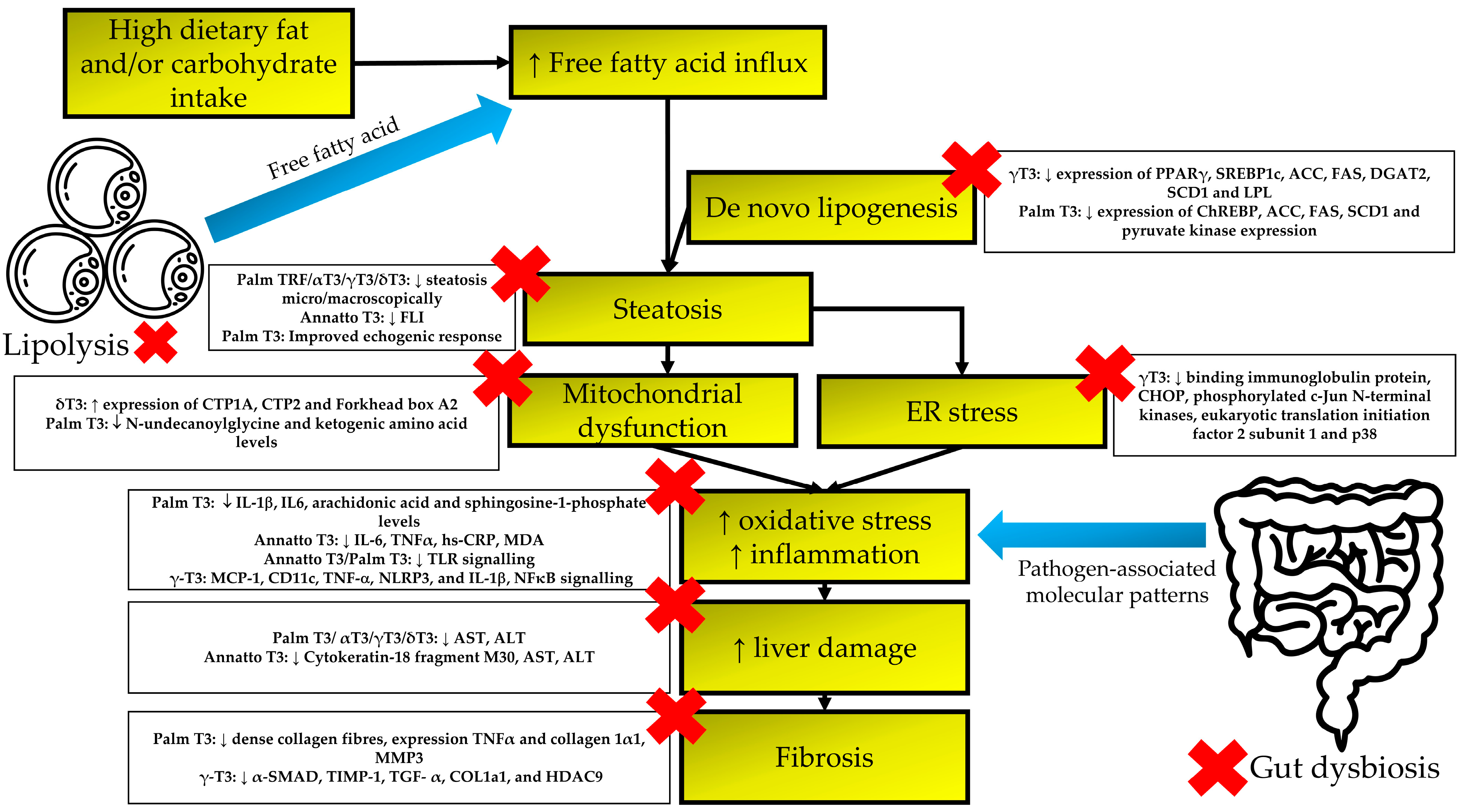 Nutrients 15 00834 g002 Nutrients 15 00834 g002