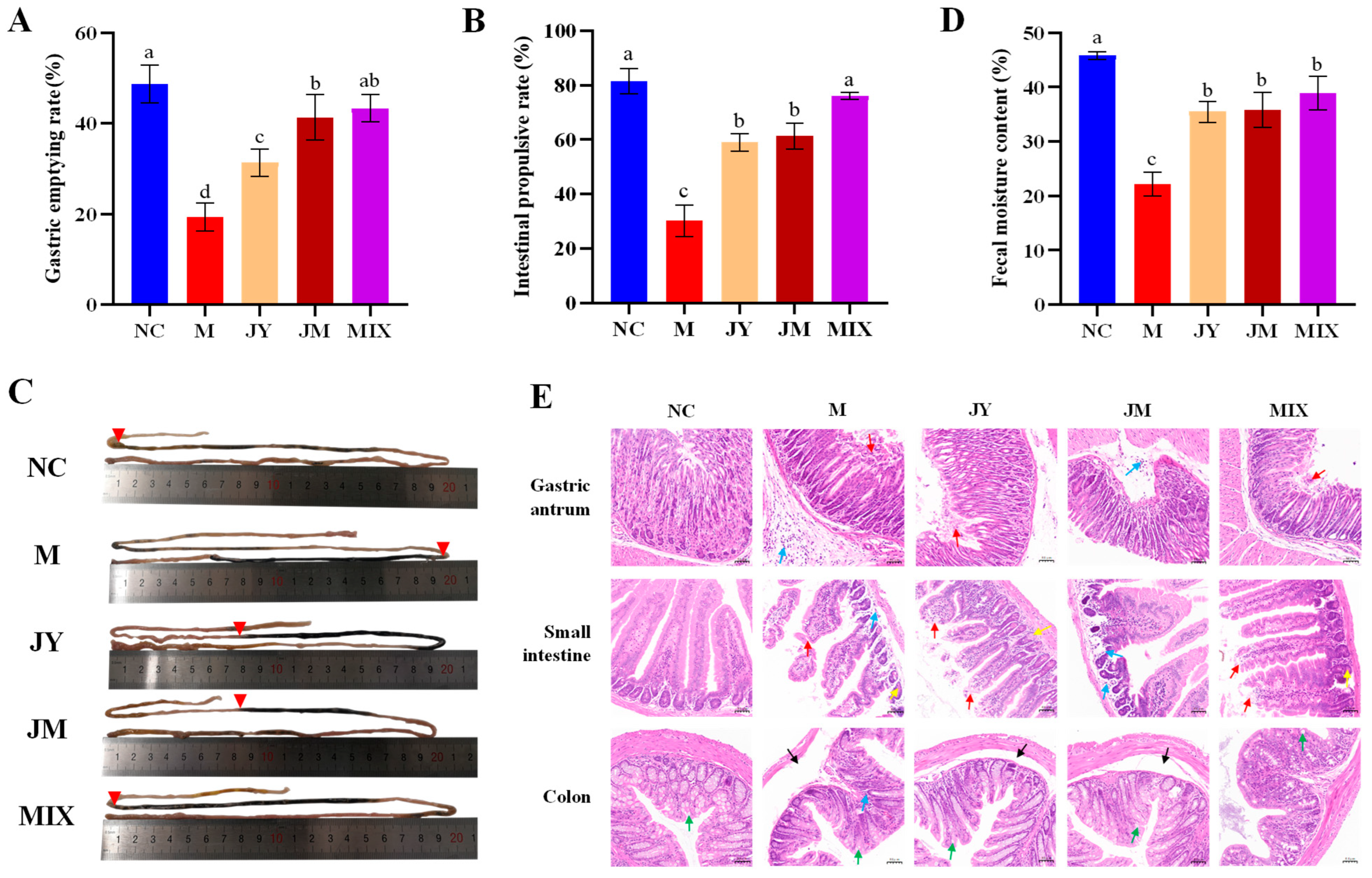 Nutrients 15 00839 g001