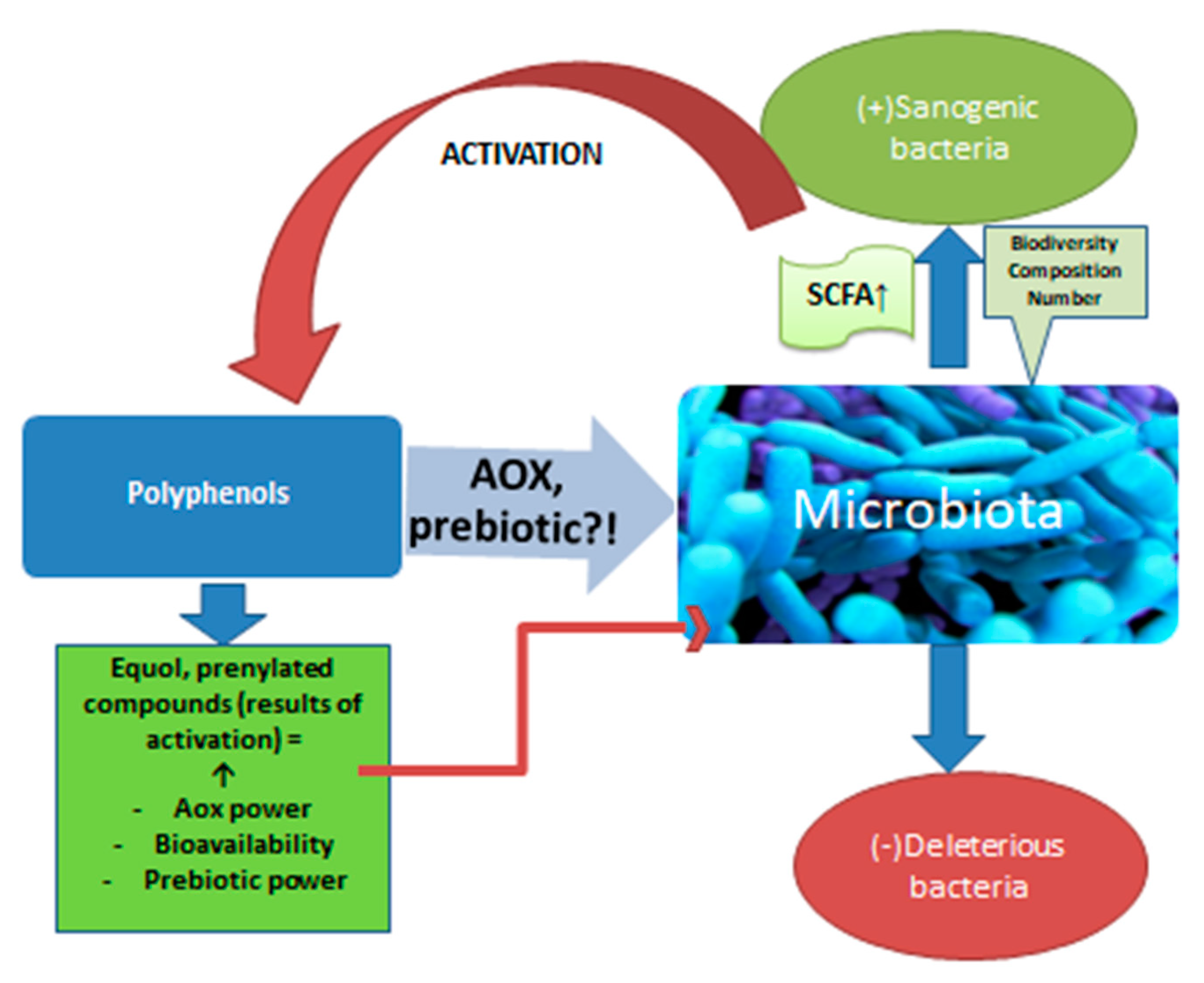 Nutrients 15 00844 g002