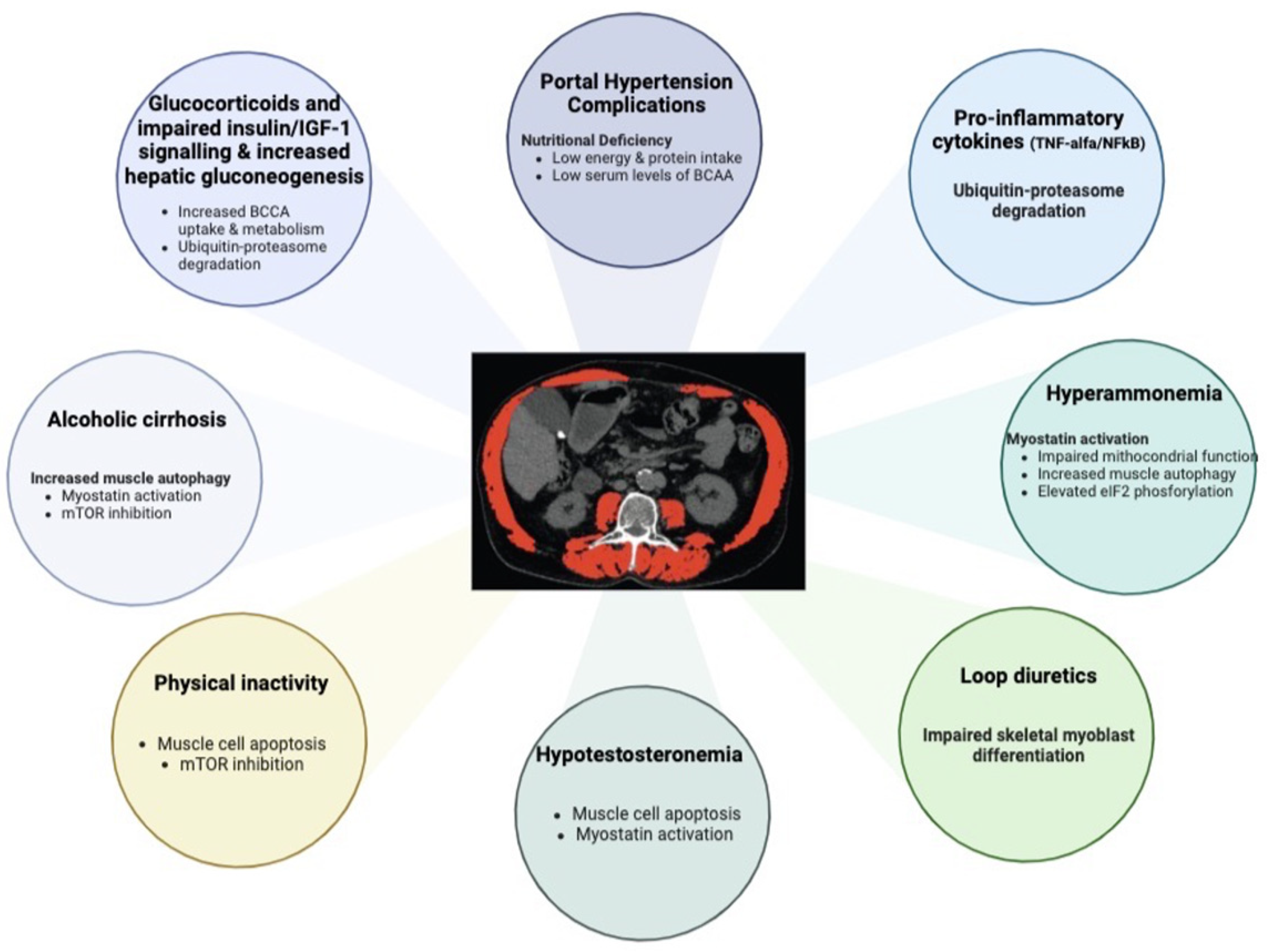 Nutrients 15 00863 g002