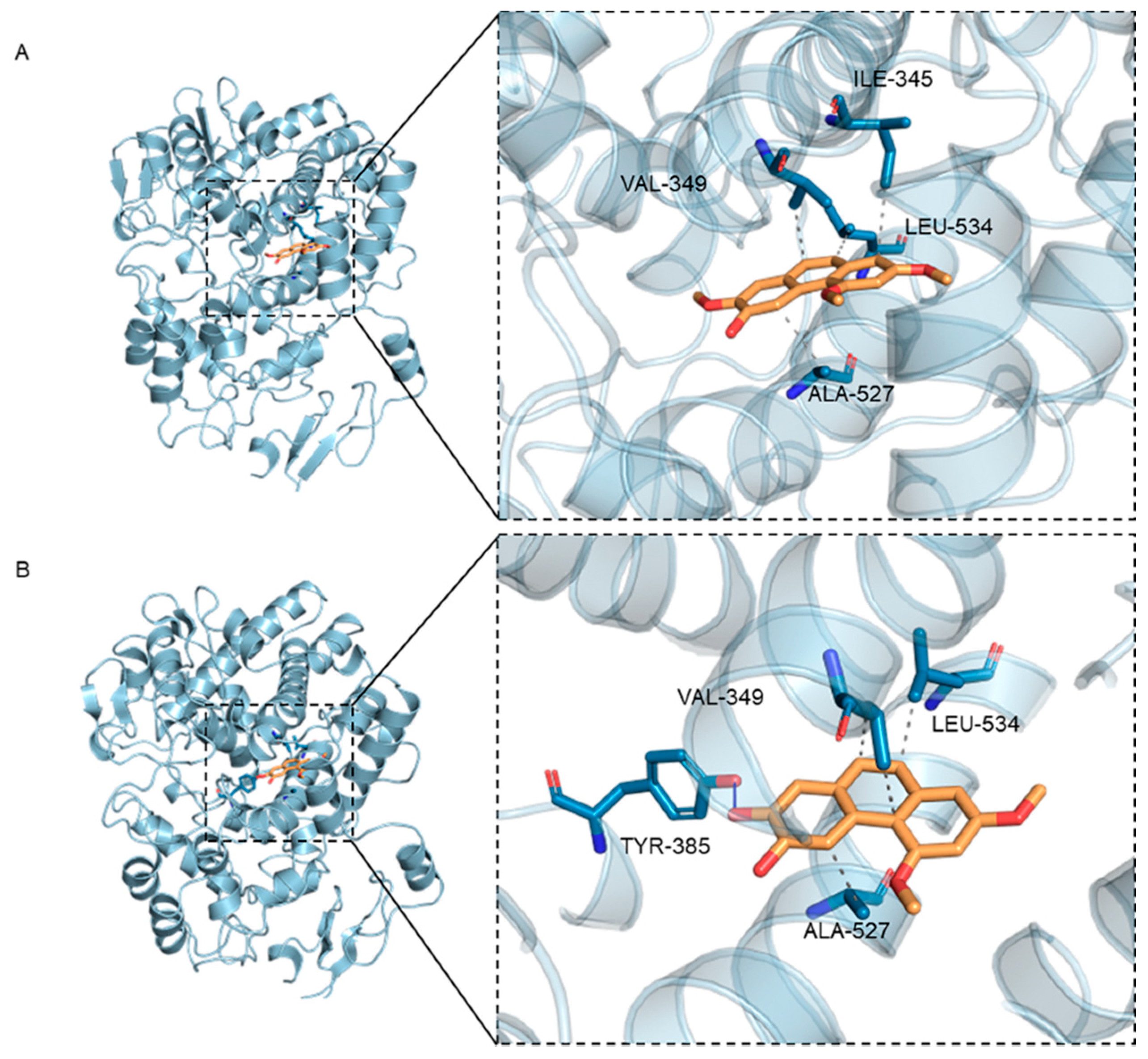Nutrients 15 00883 g003 Nutrients 15 00883 g003