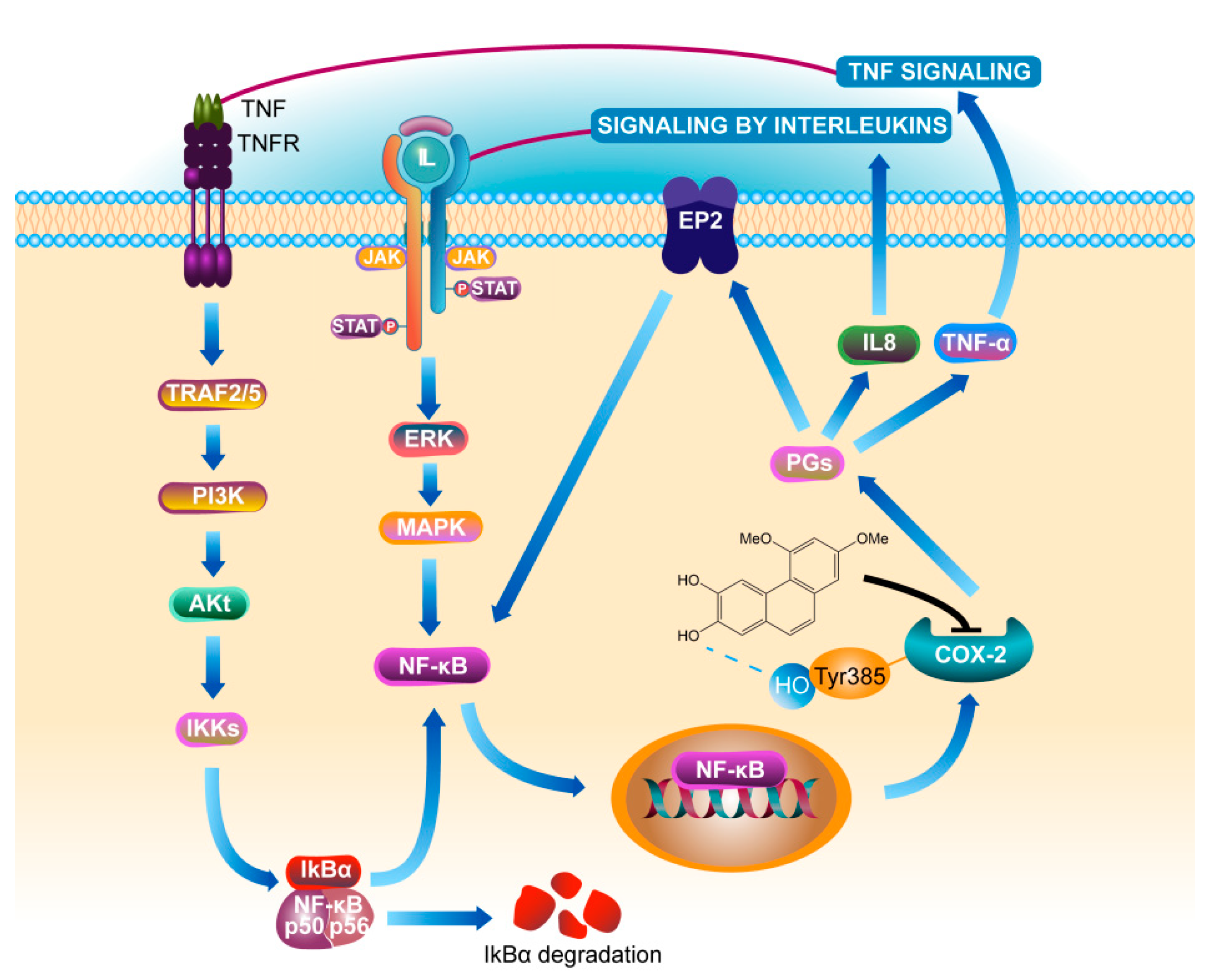 Nutrients 15 00883 g008 Nutrients 15 00883 g008