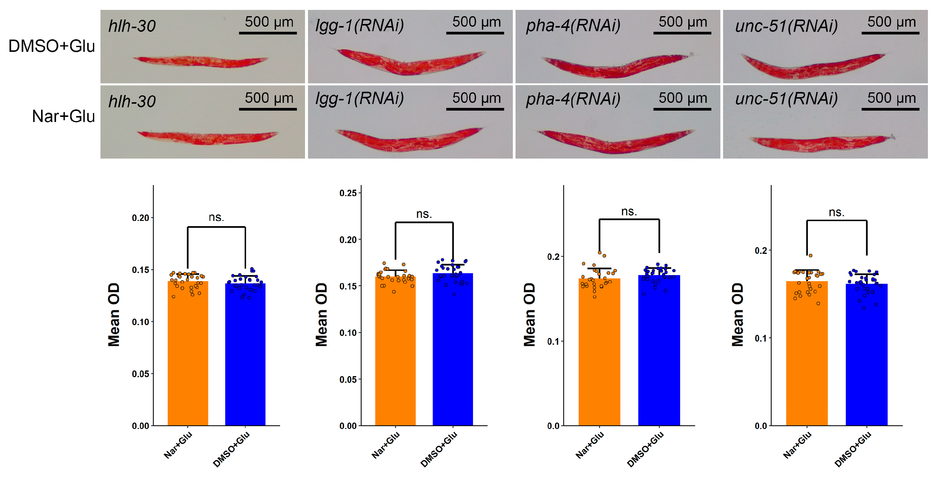 Nutrients 15 00907 g006