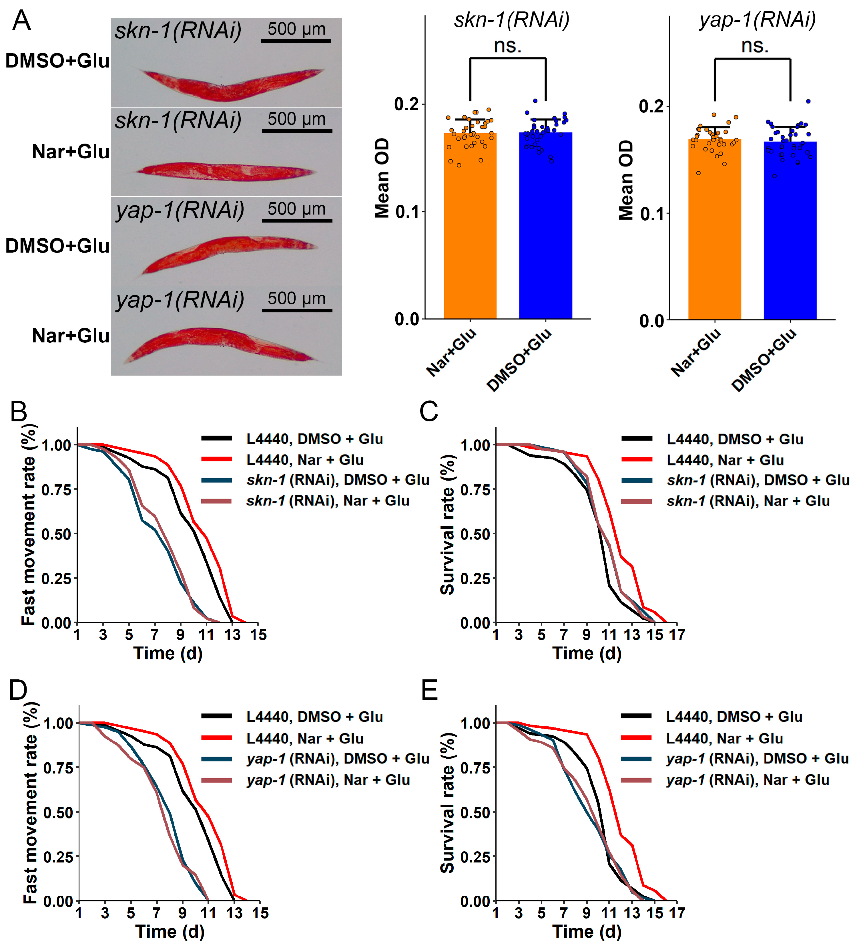 Nutrients 15 00907 g008