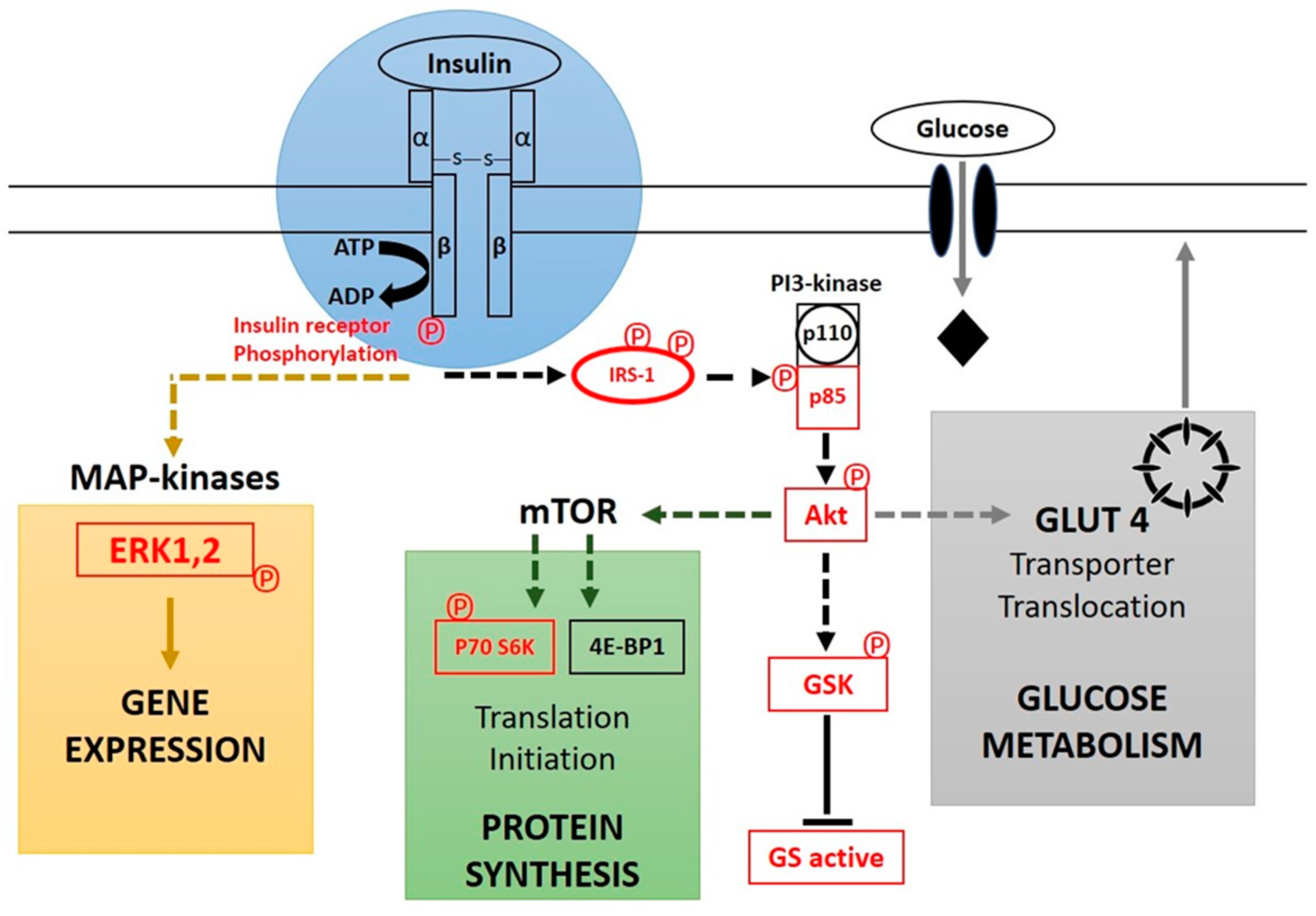 Nutrients 15 00921 g001